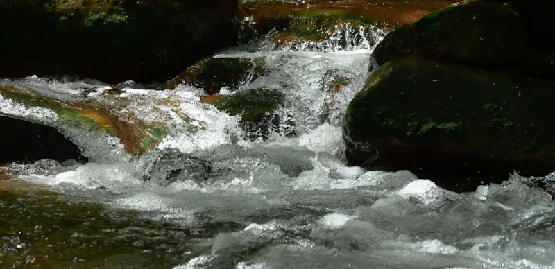 rushing water over rocks — stonefly riffle habitat