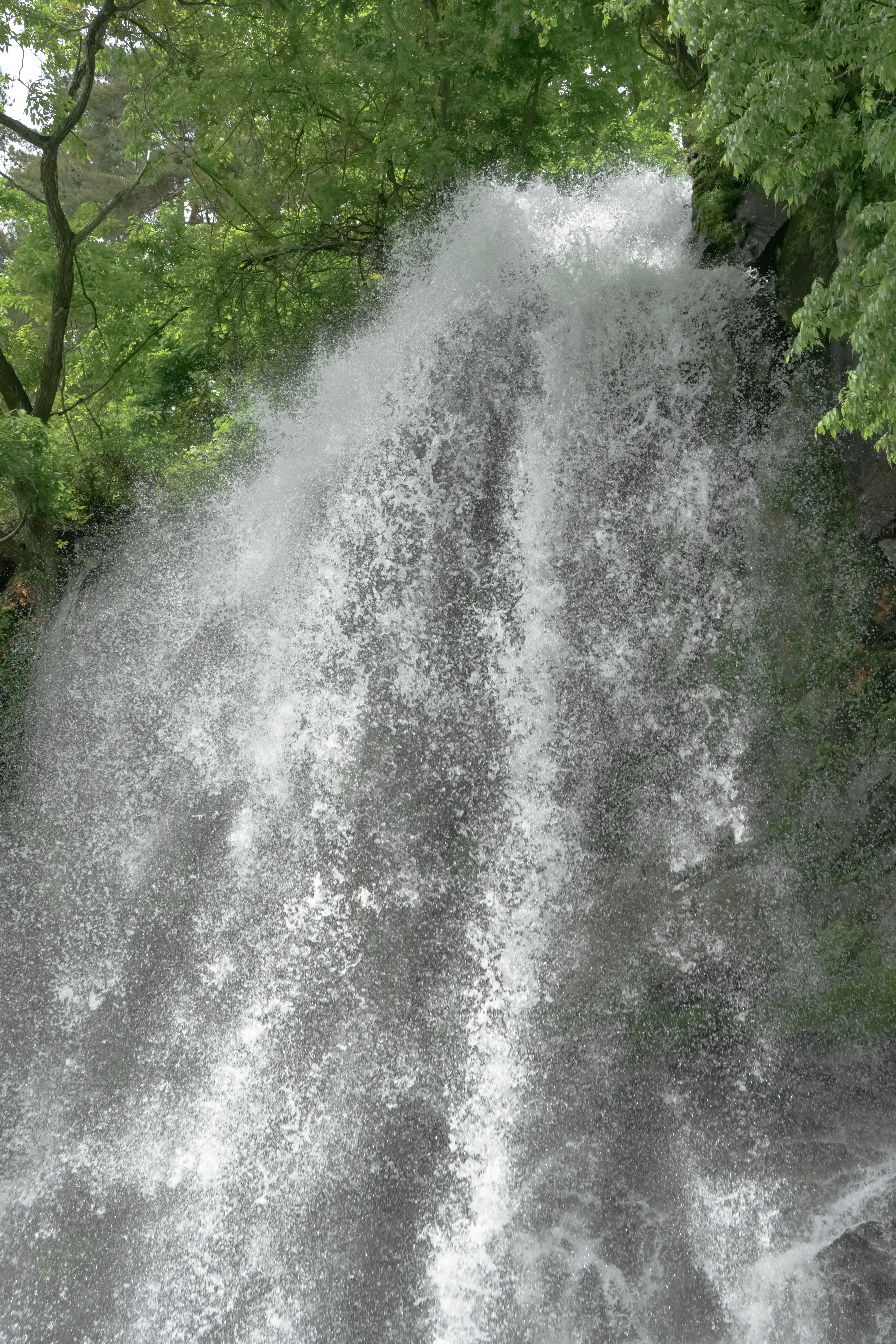 Photo by hayato_no_kiroku