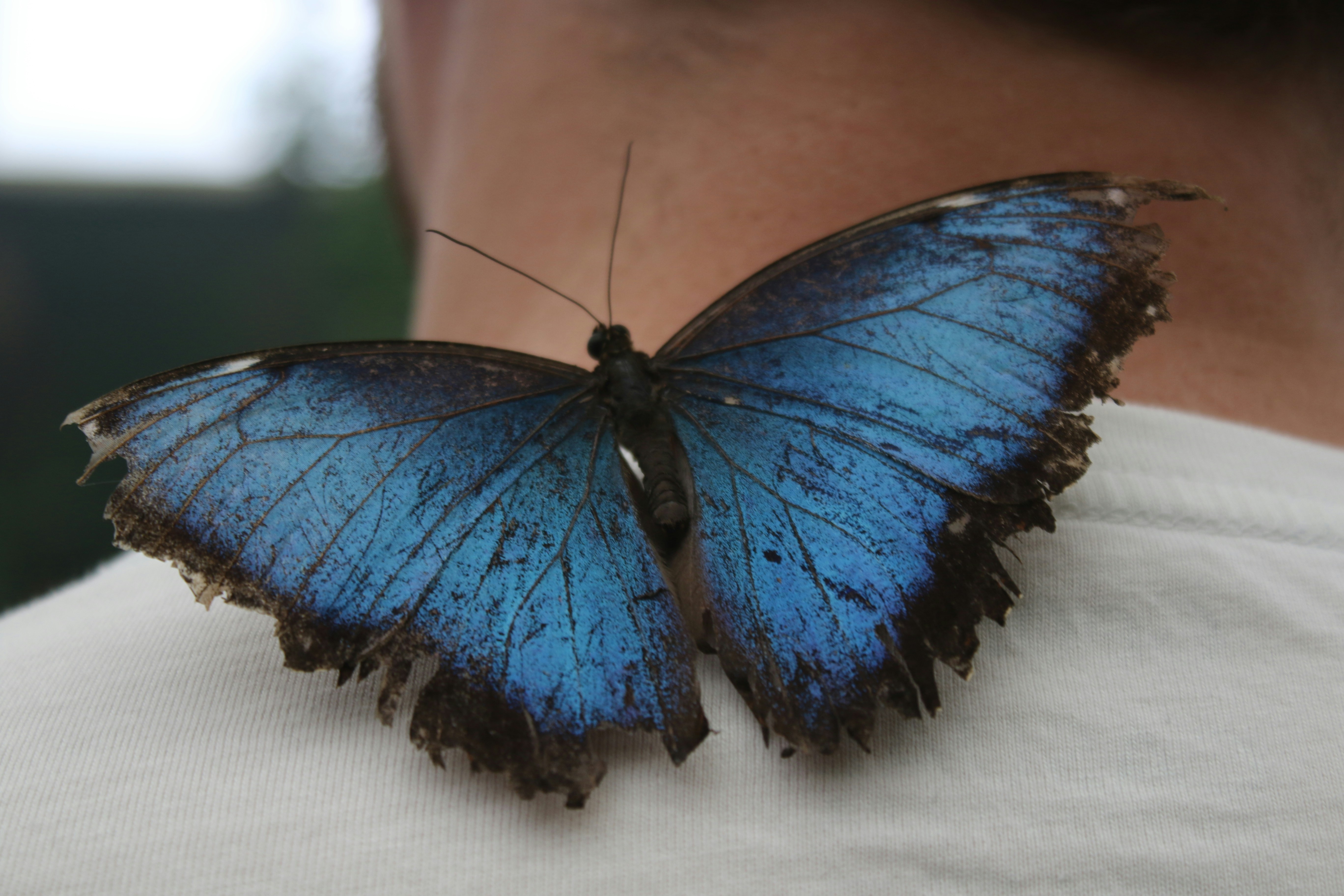 ChemQuest Official Newsletter