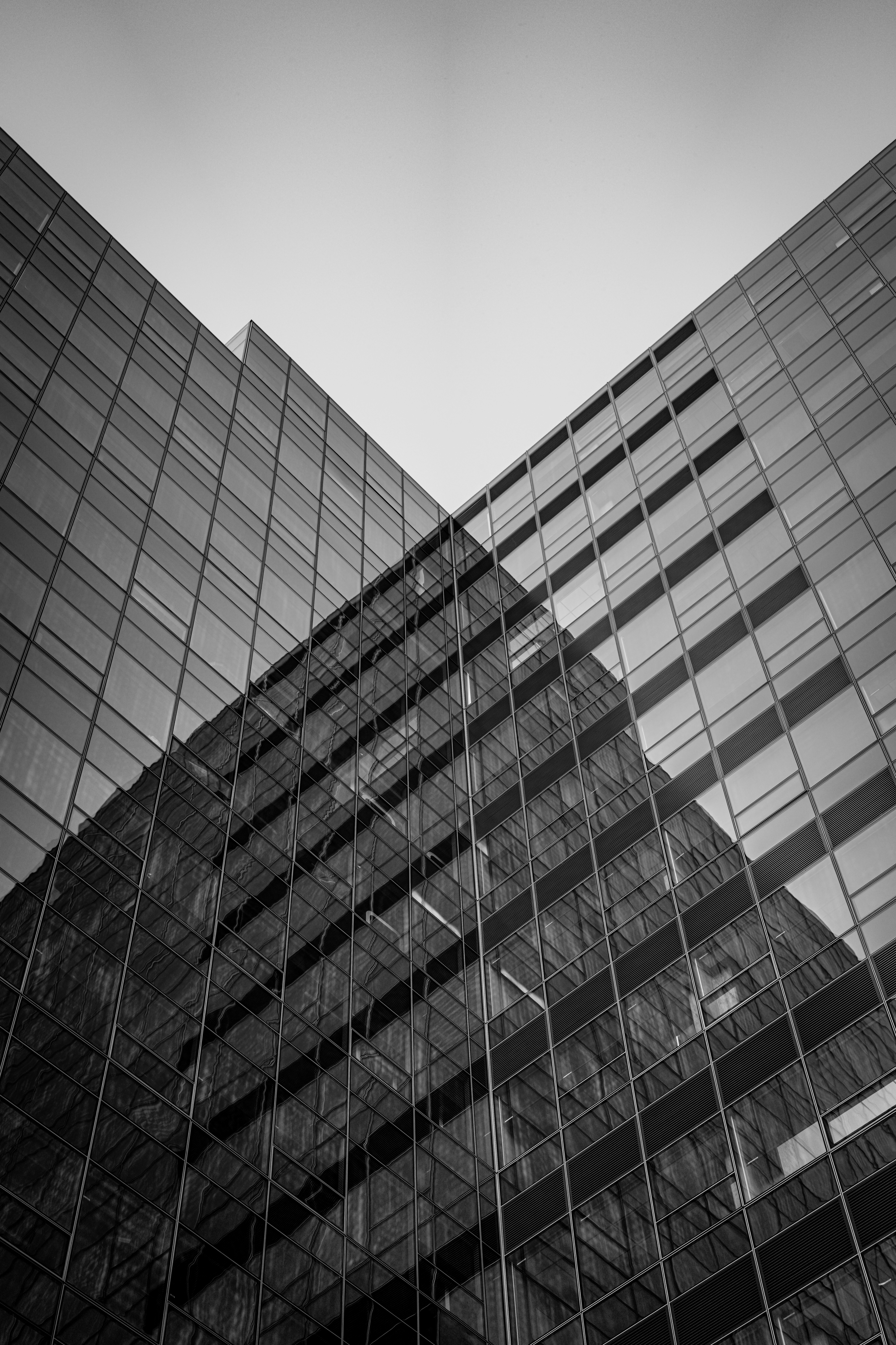 Photo by frankynevermore