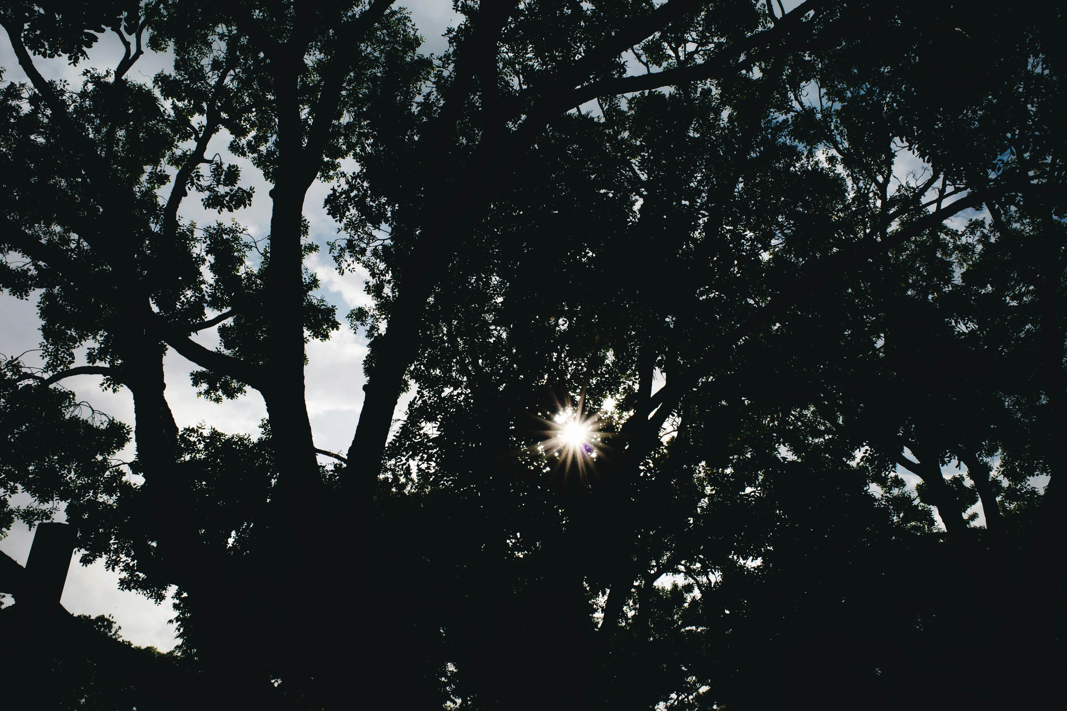 Photo by dickenslin76