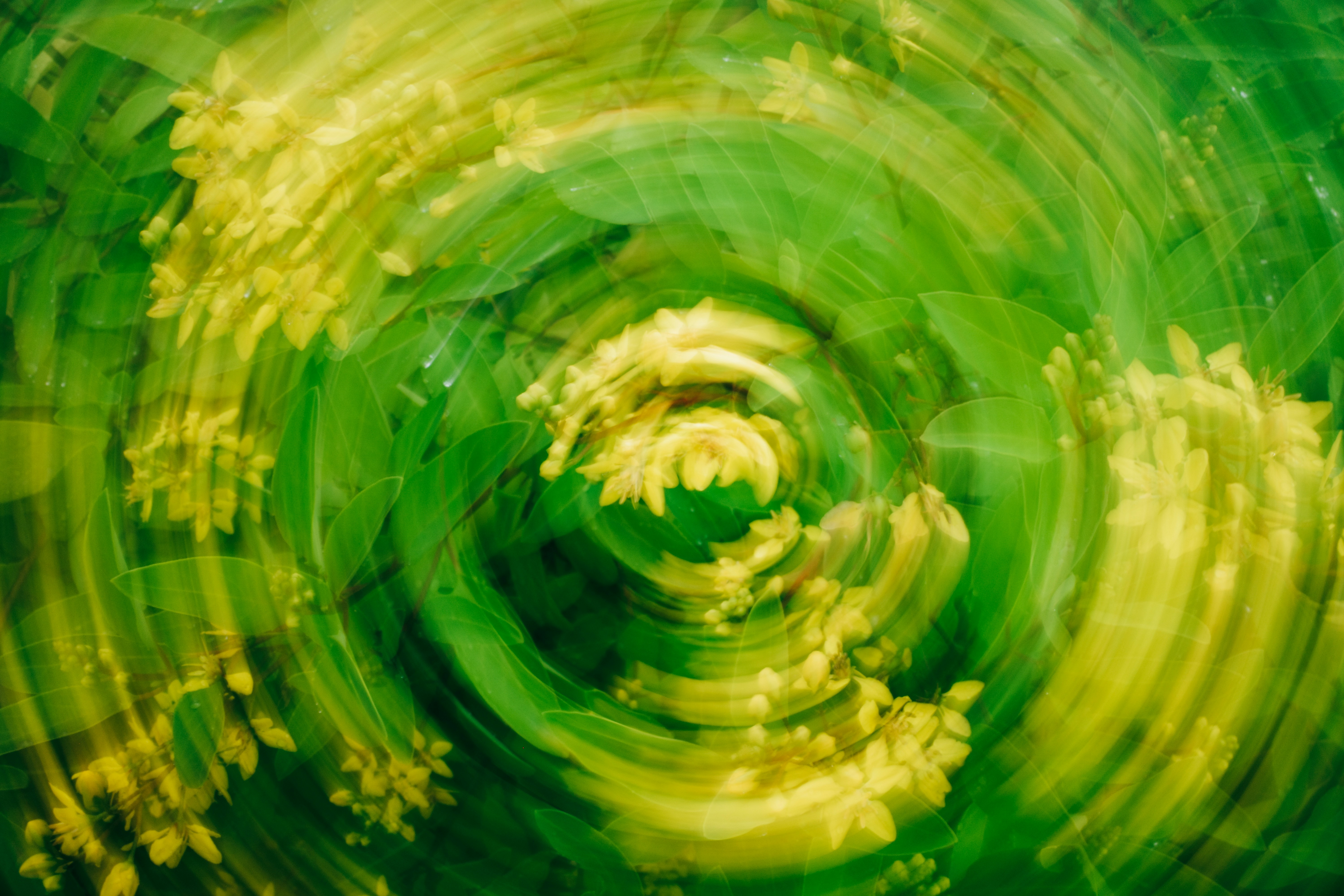 Photo by dickenslin76