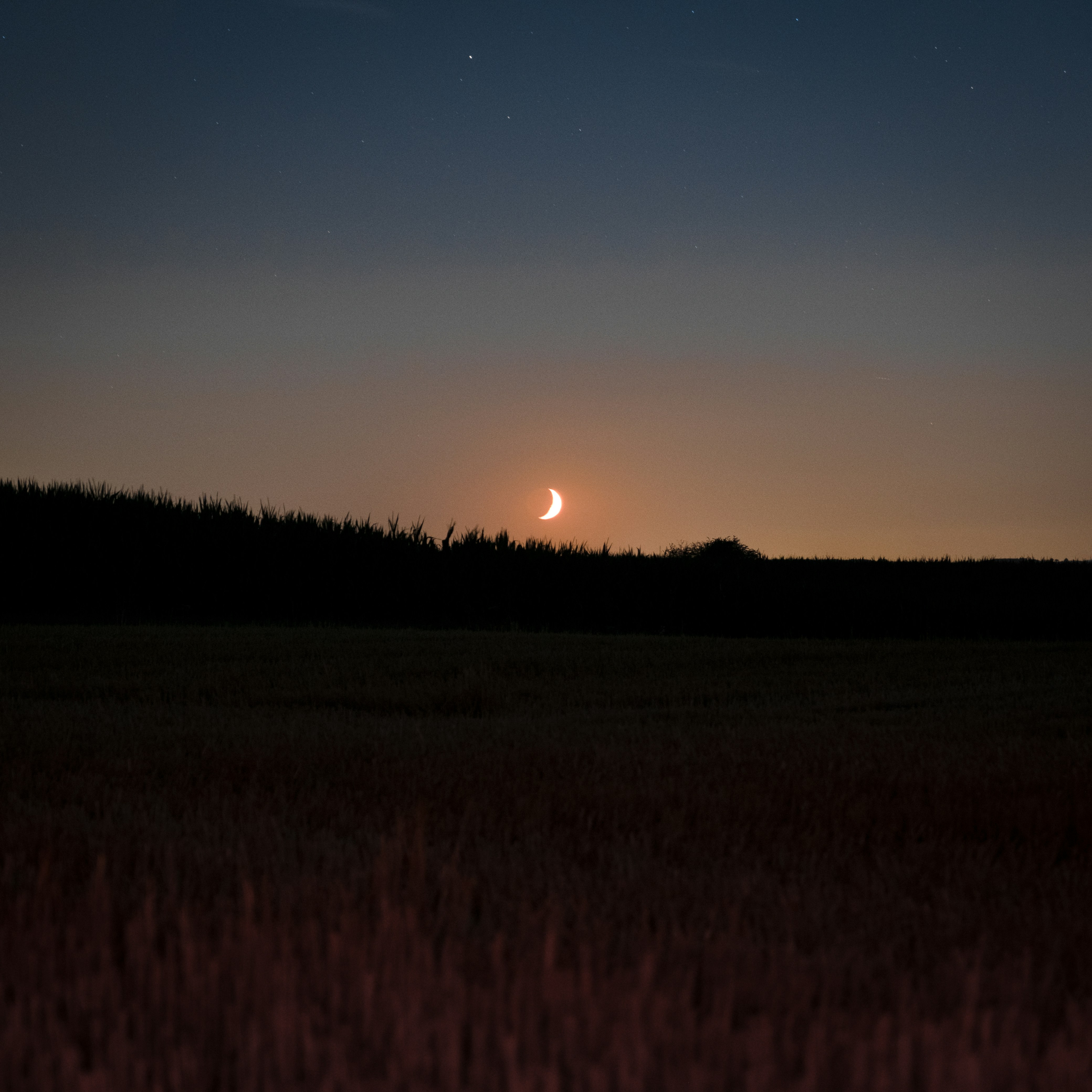 Crescent moon glowing over a dark landscape. photo – Free Green Image ...