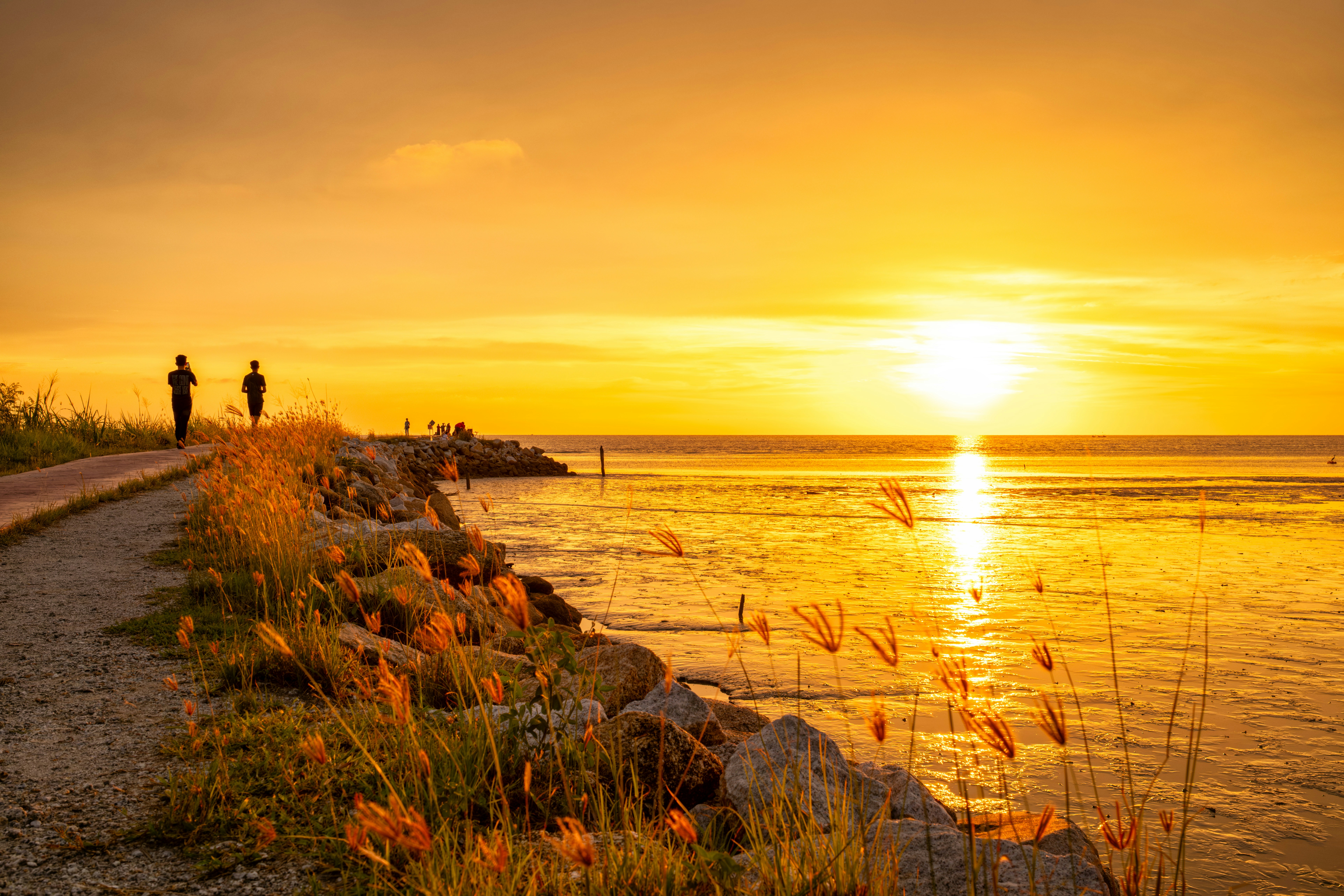 Anyone Can Be Successful With These Mobile Marketing Tips