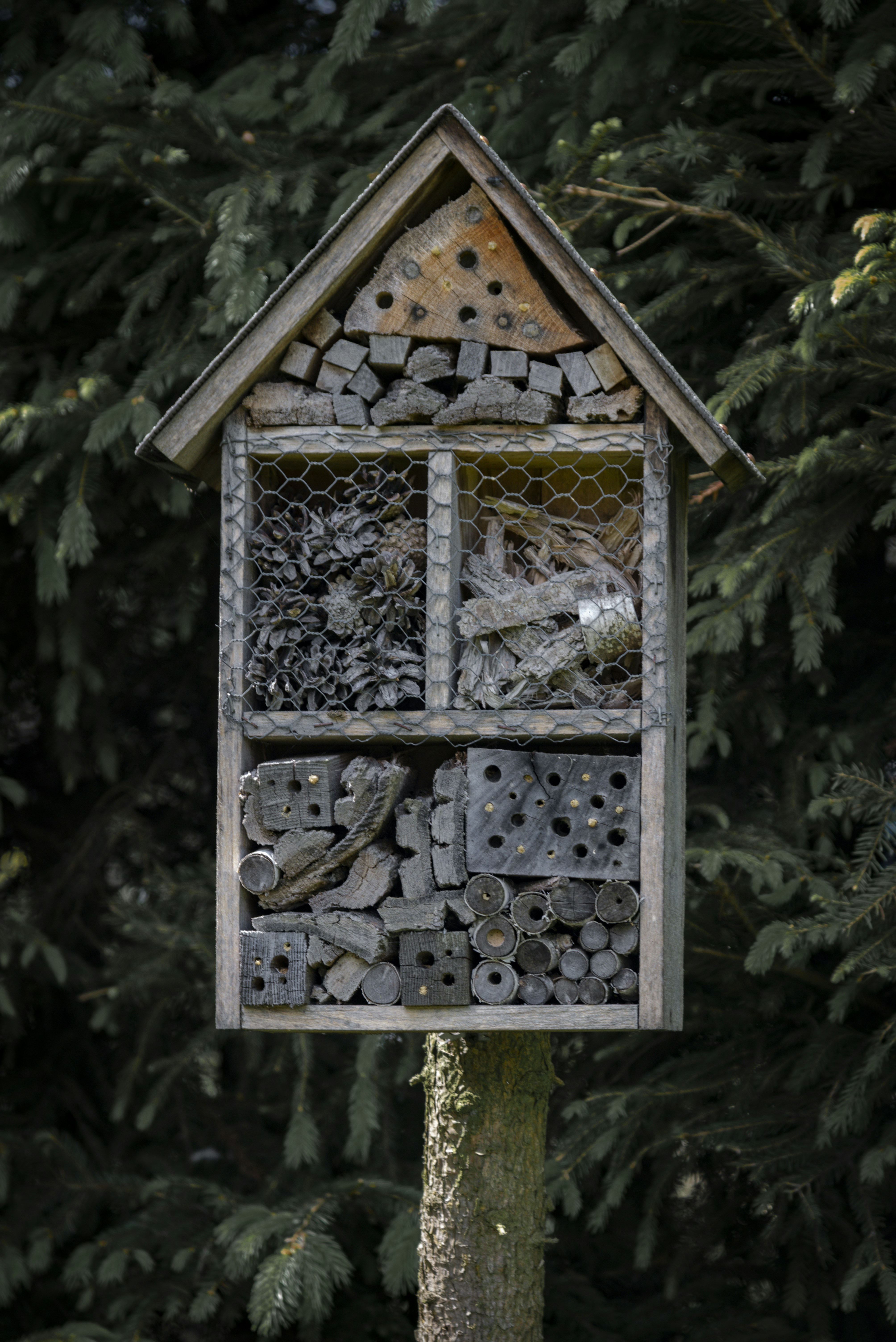 Photo by malwinanogaj