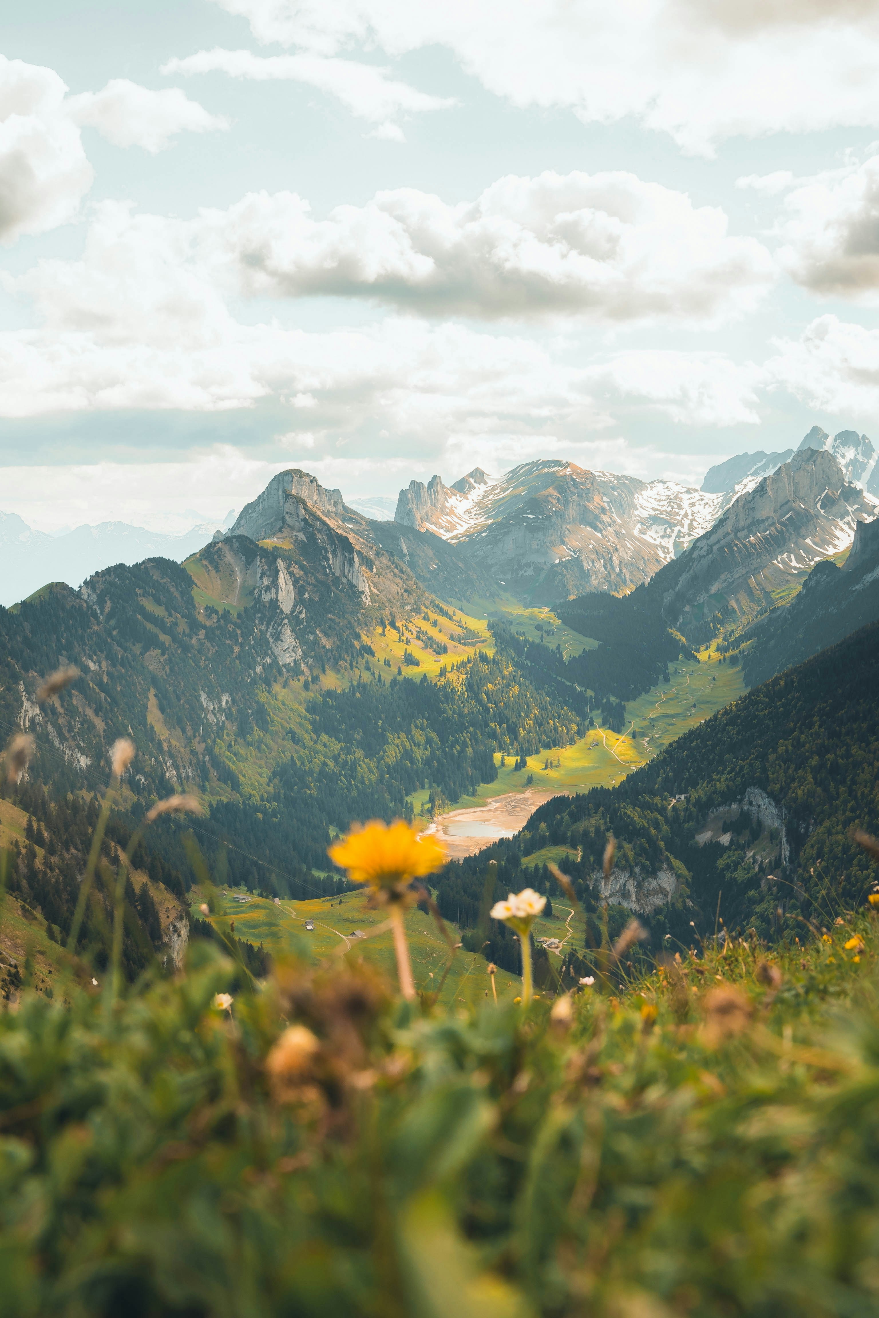 Photo by jonasdegener