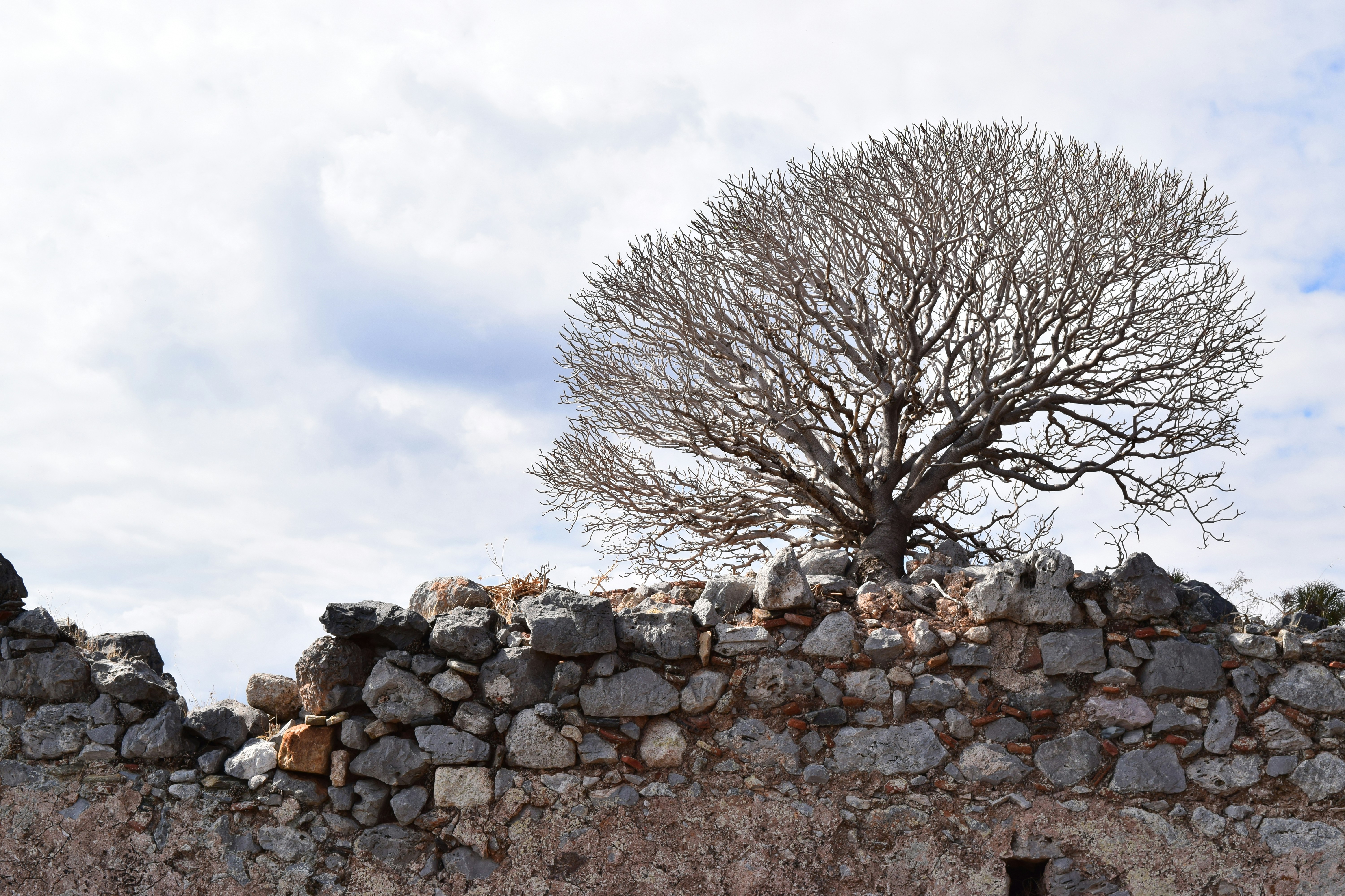 Monemvasia travel photo