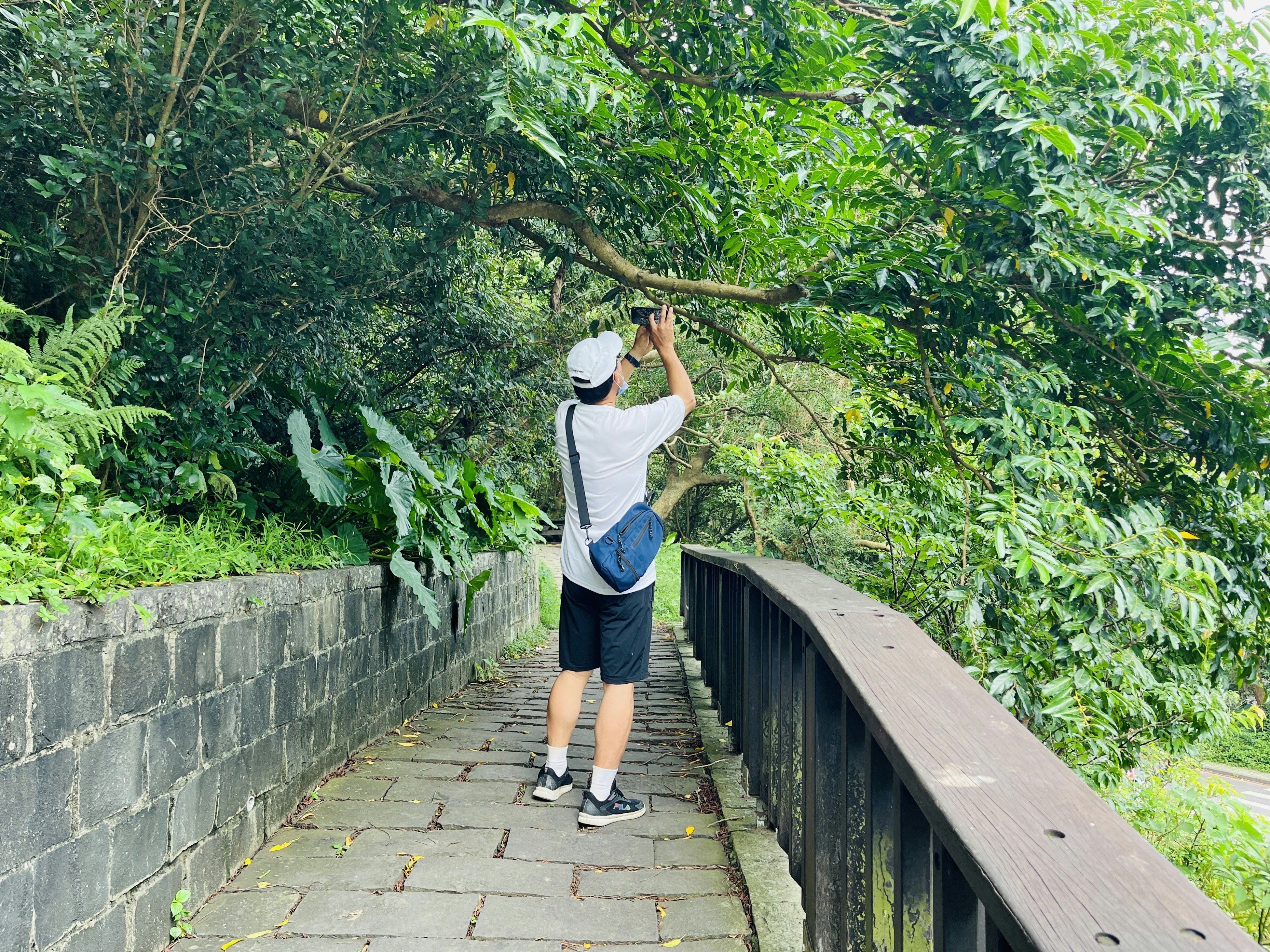 A man photographs nature on a bridge.