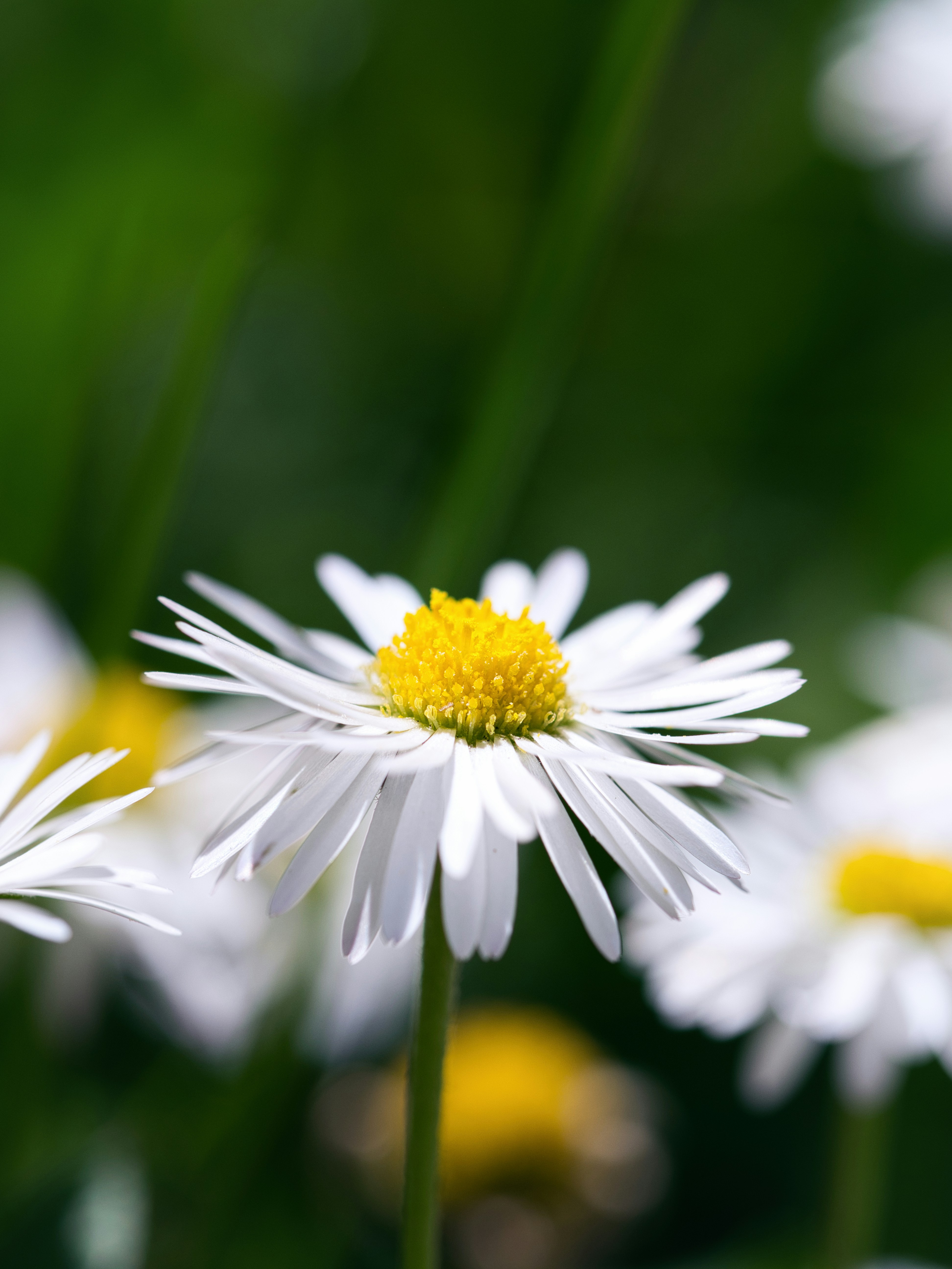 Photo by theskytales