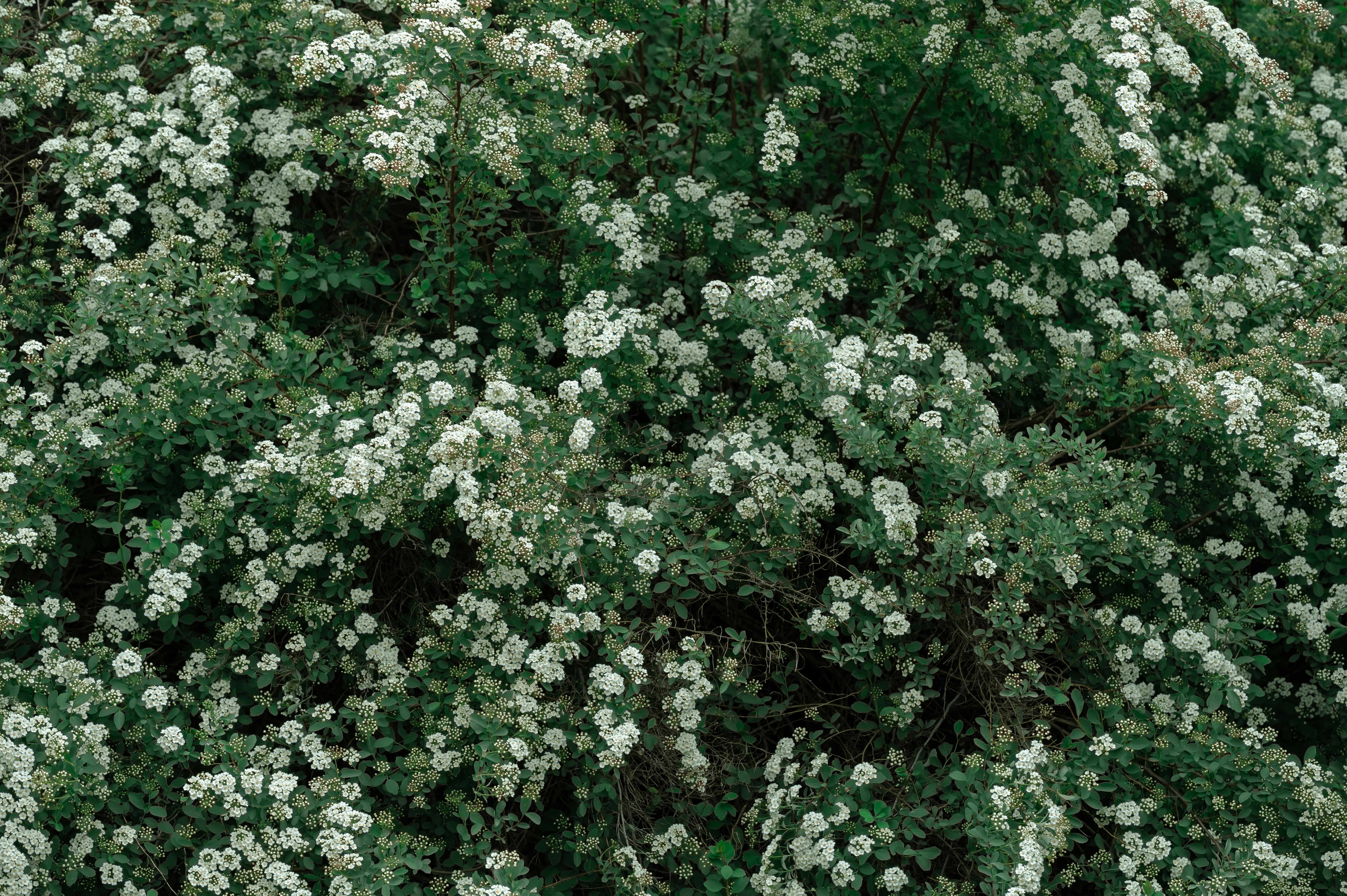 Photo by volodymyr_leush