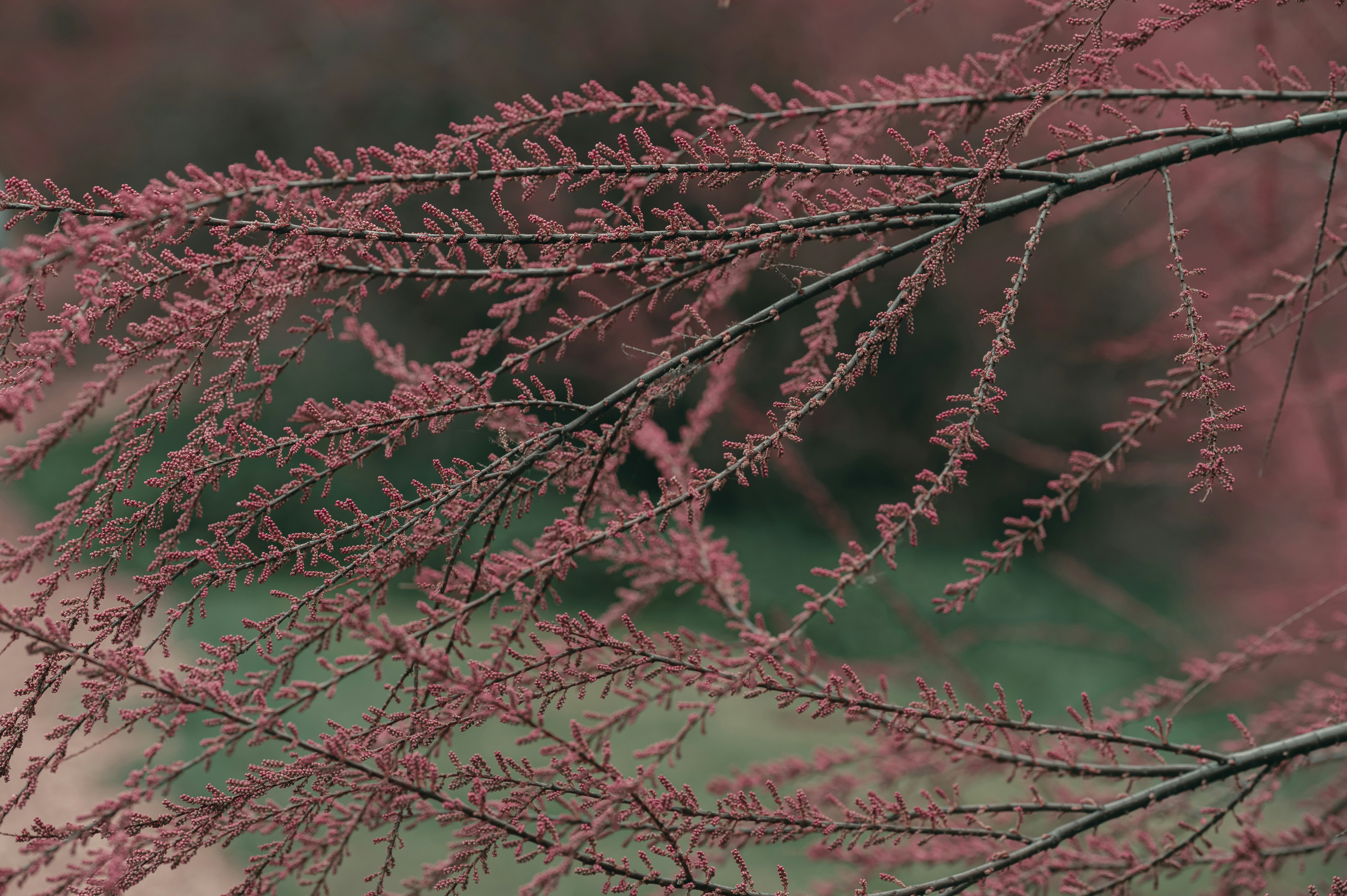 Photo by volodymyr_leush