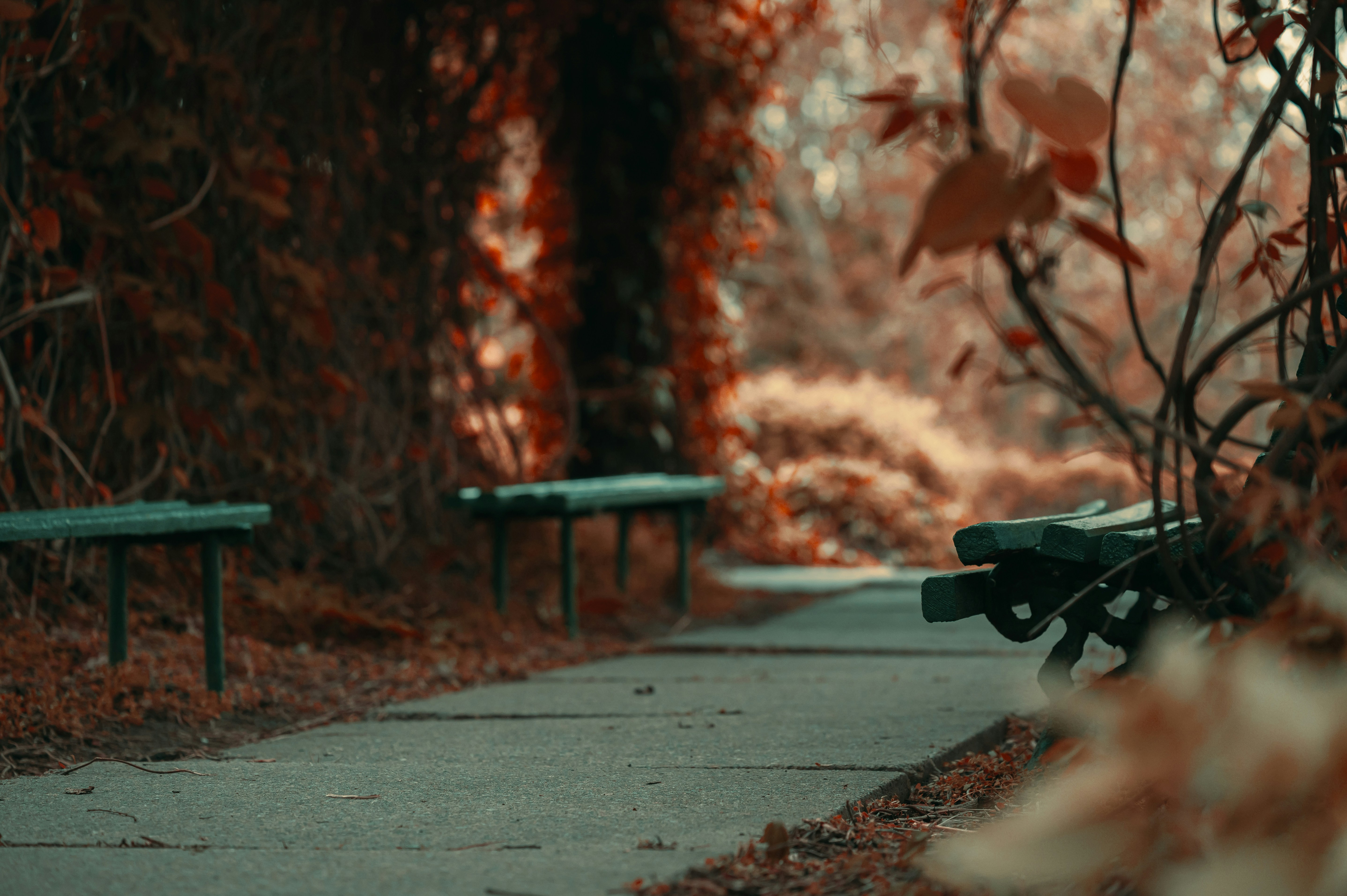 생명의 숨겨진 코드: 당신의 상상을 초월하는 생물학적 미스터리!