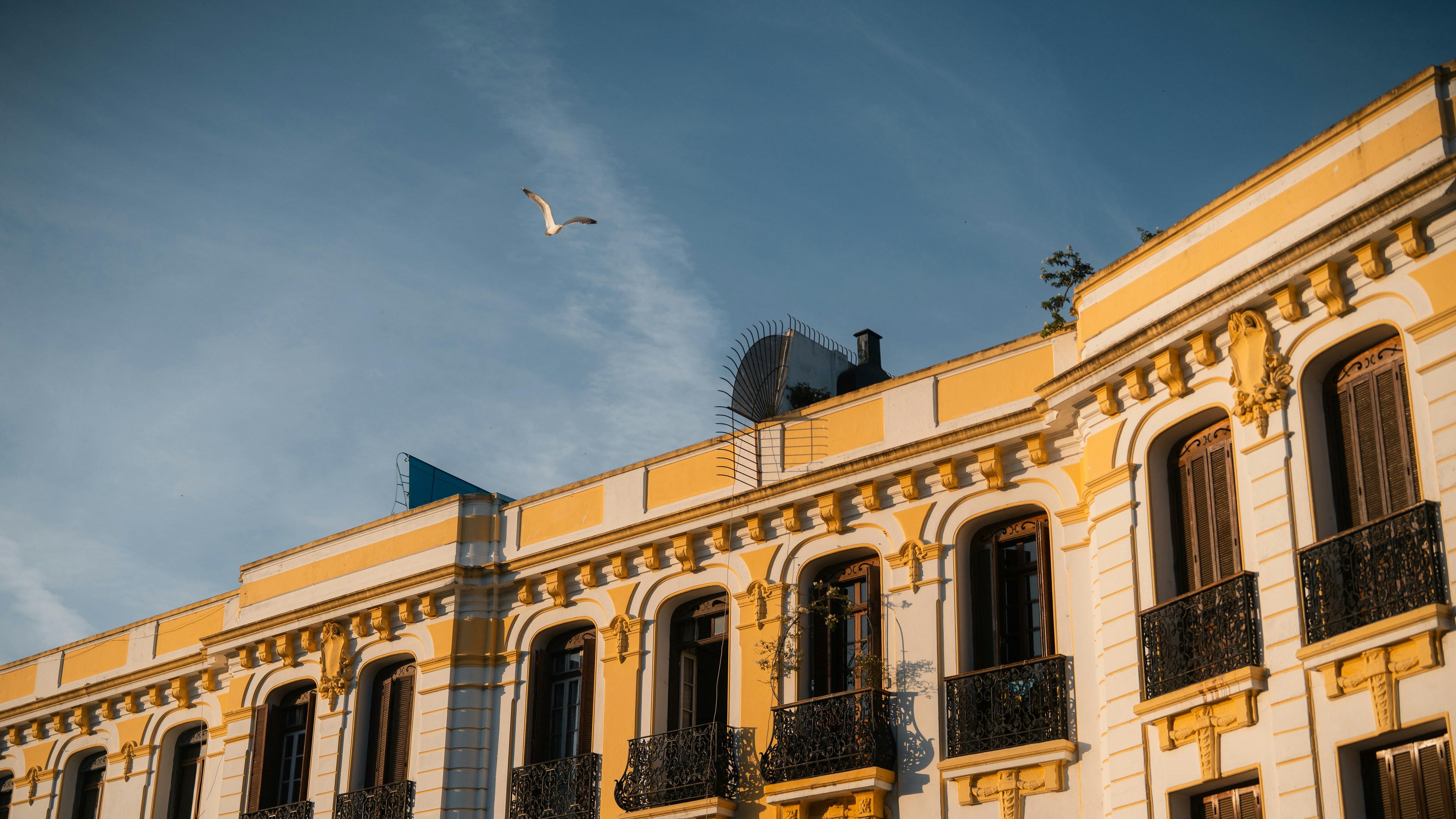 Photo by theemanofoth