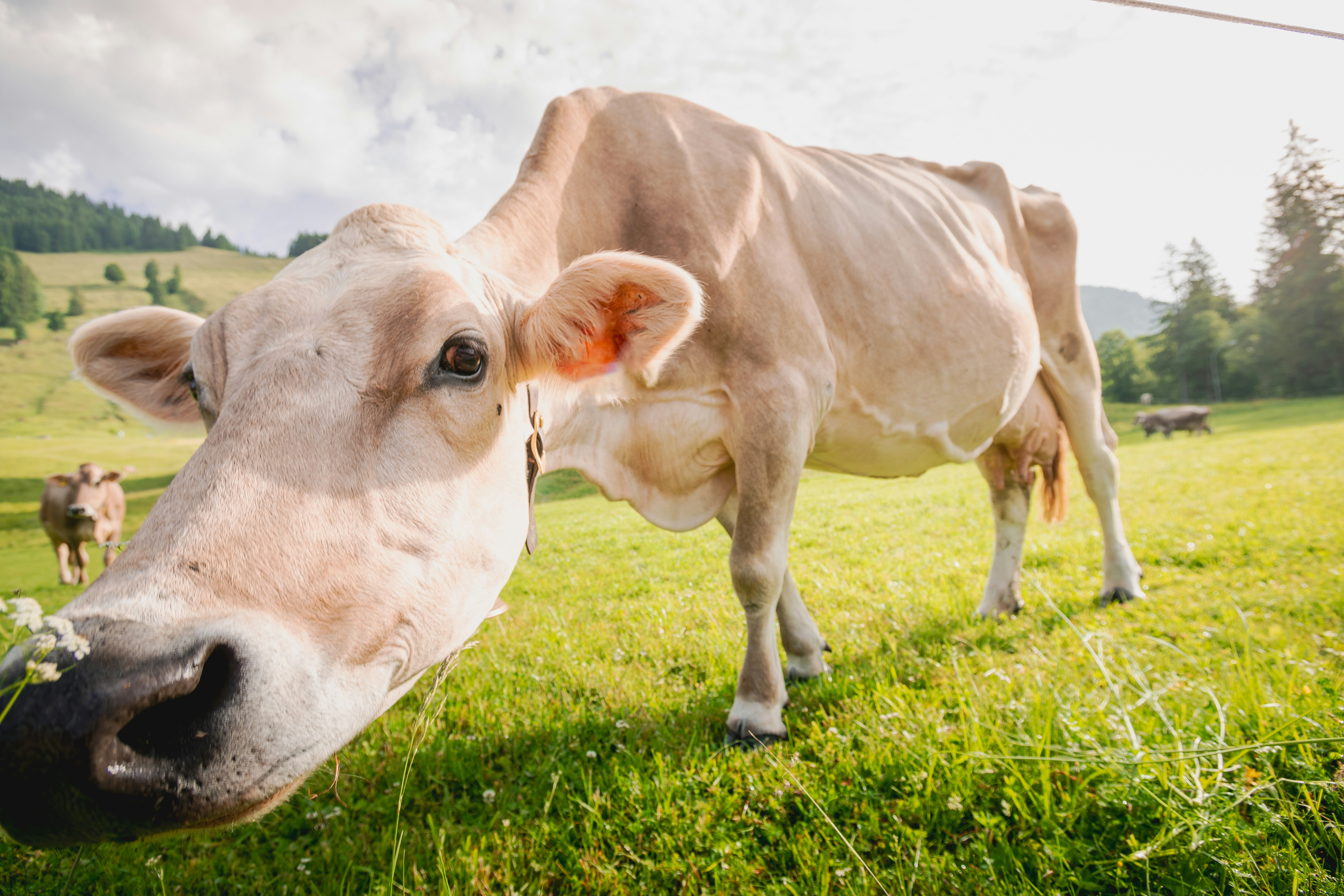 Photo by doeringphotograpy