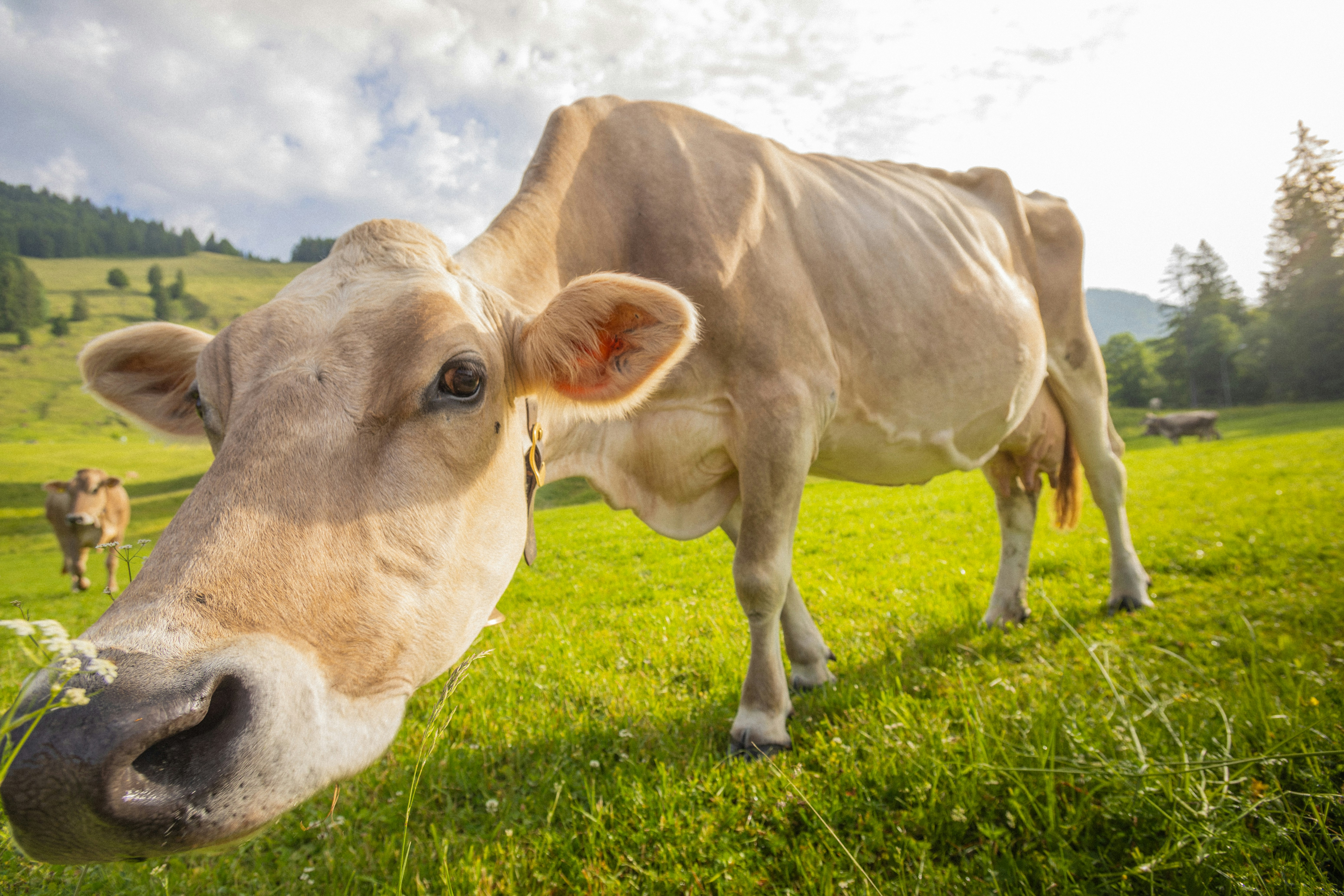 Photo by doeringphotograpy