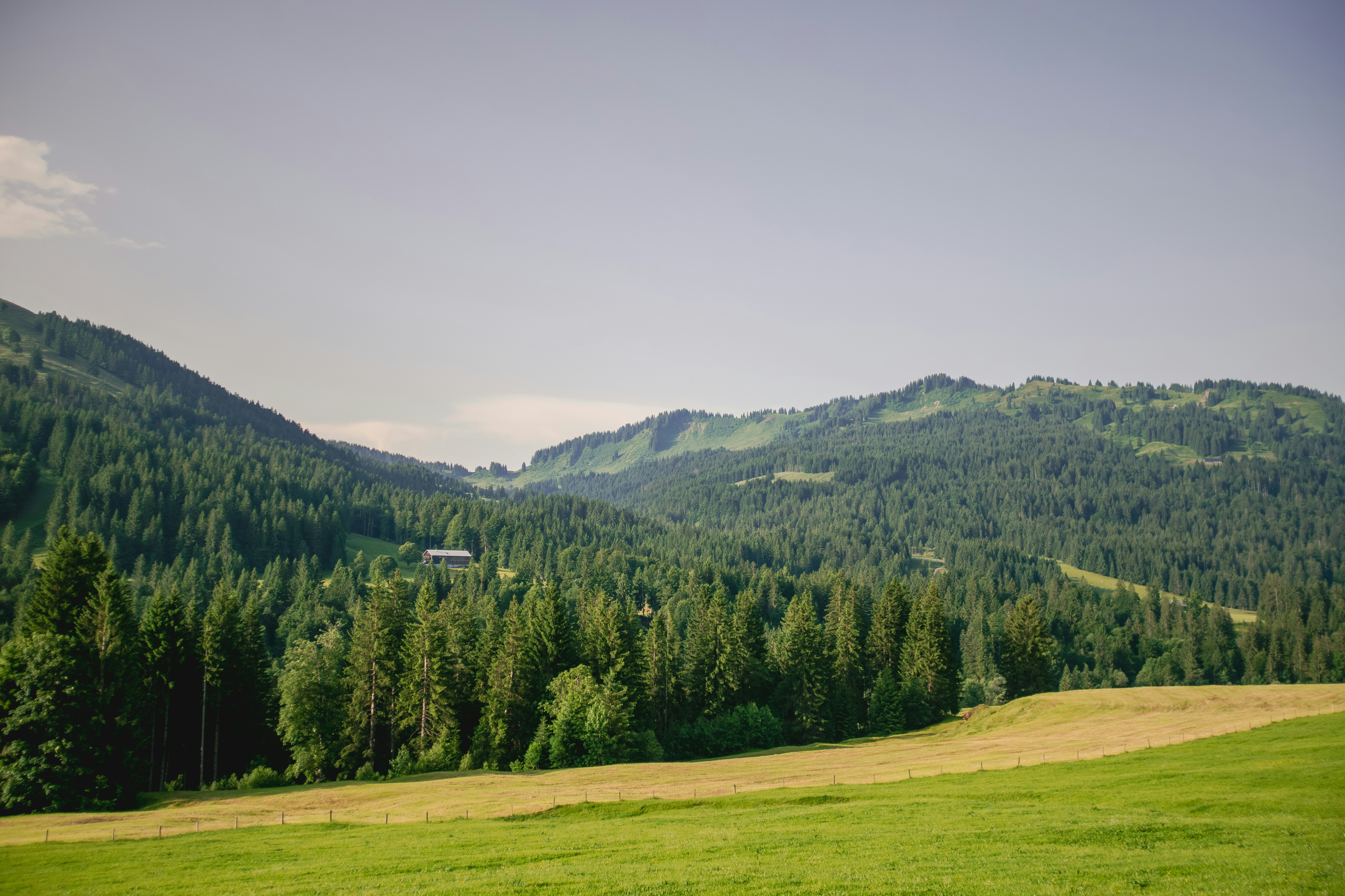 Photo by doeringphotograpy