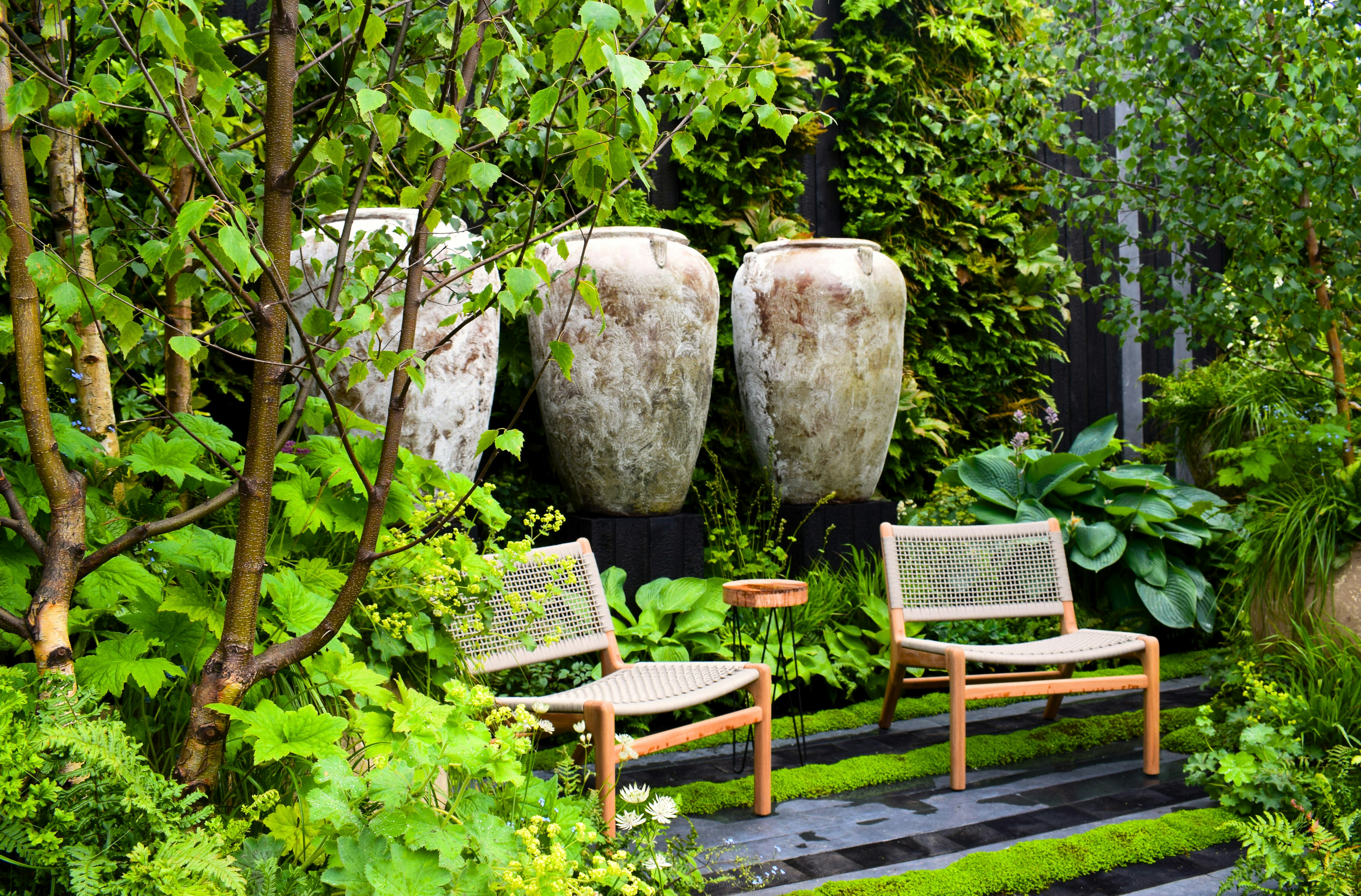 Zwei Stühle stehen in einem üppigen, grünen Garten.