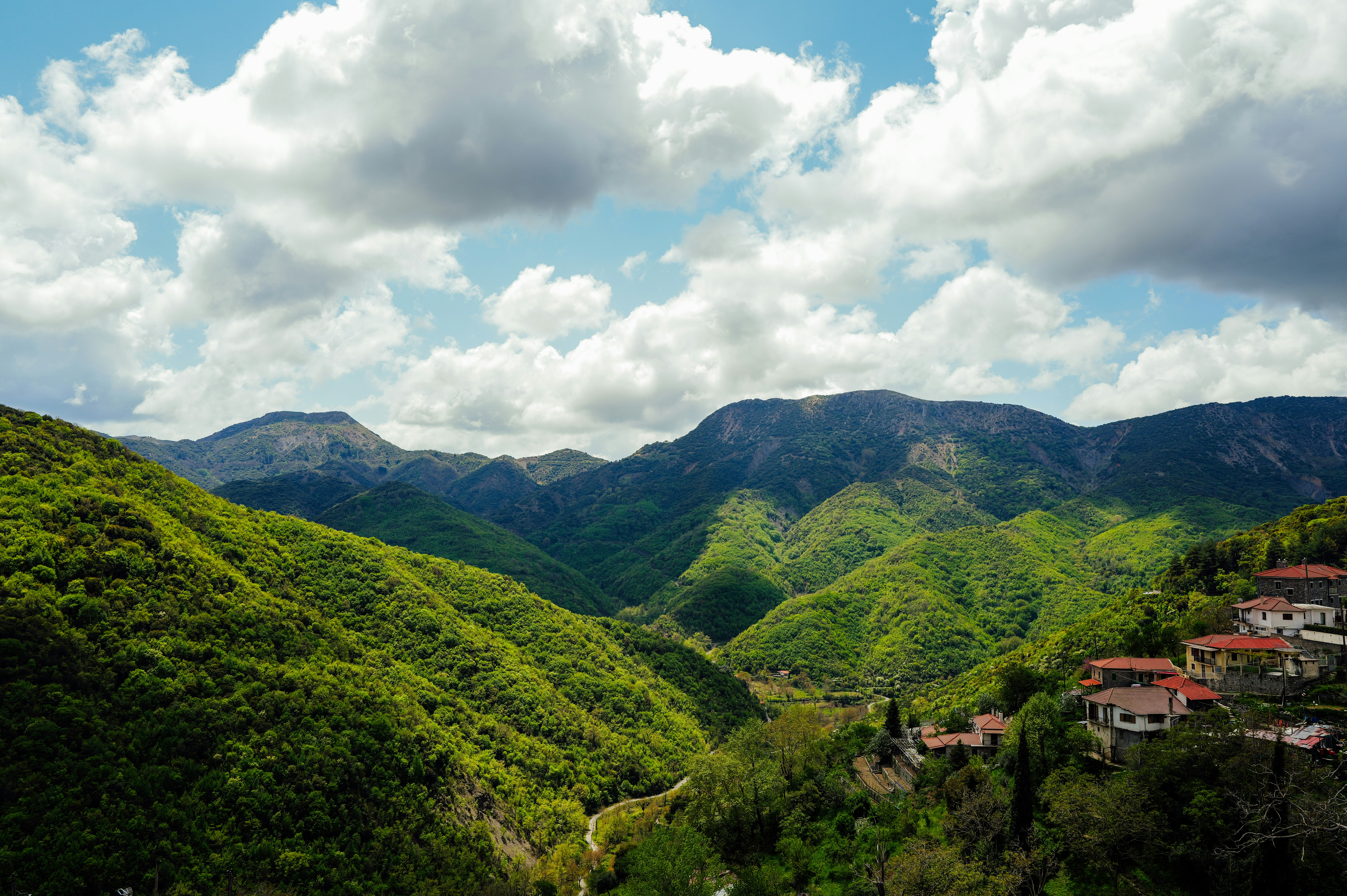 Photo by adrienolichon