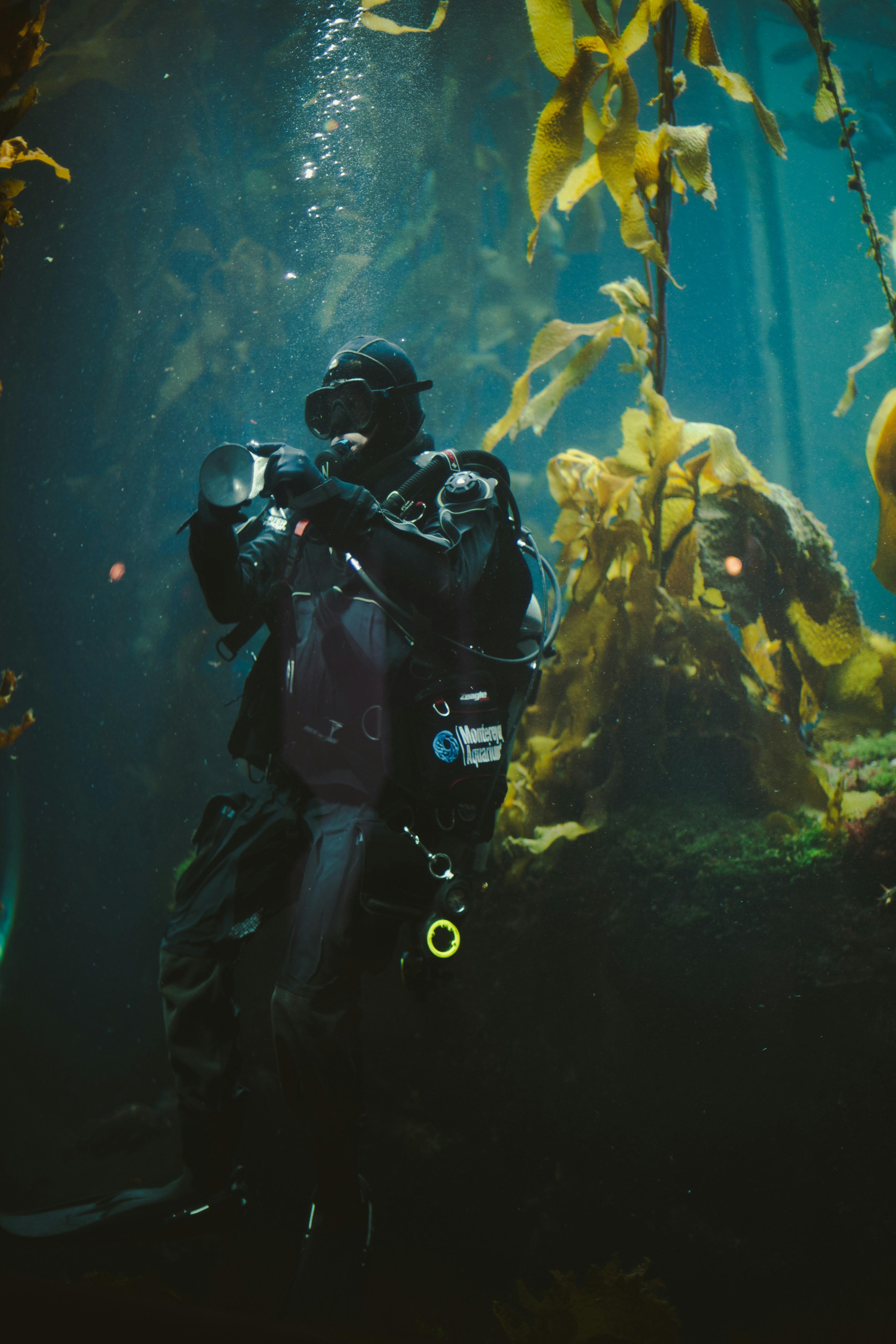 Photo by madeline_sd