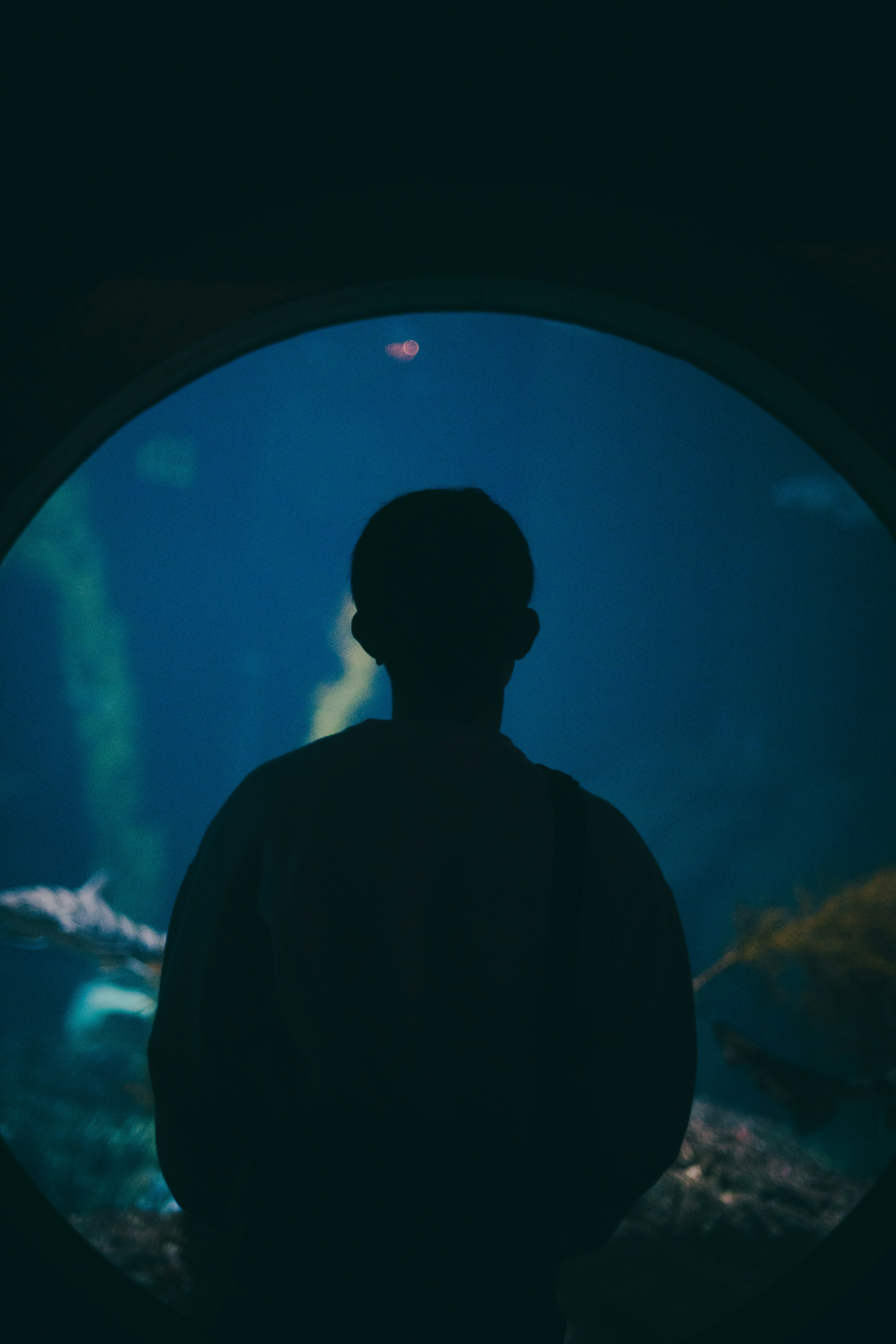 Photo by madeline_sd