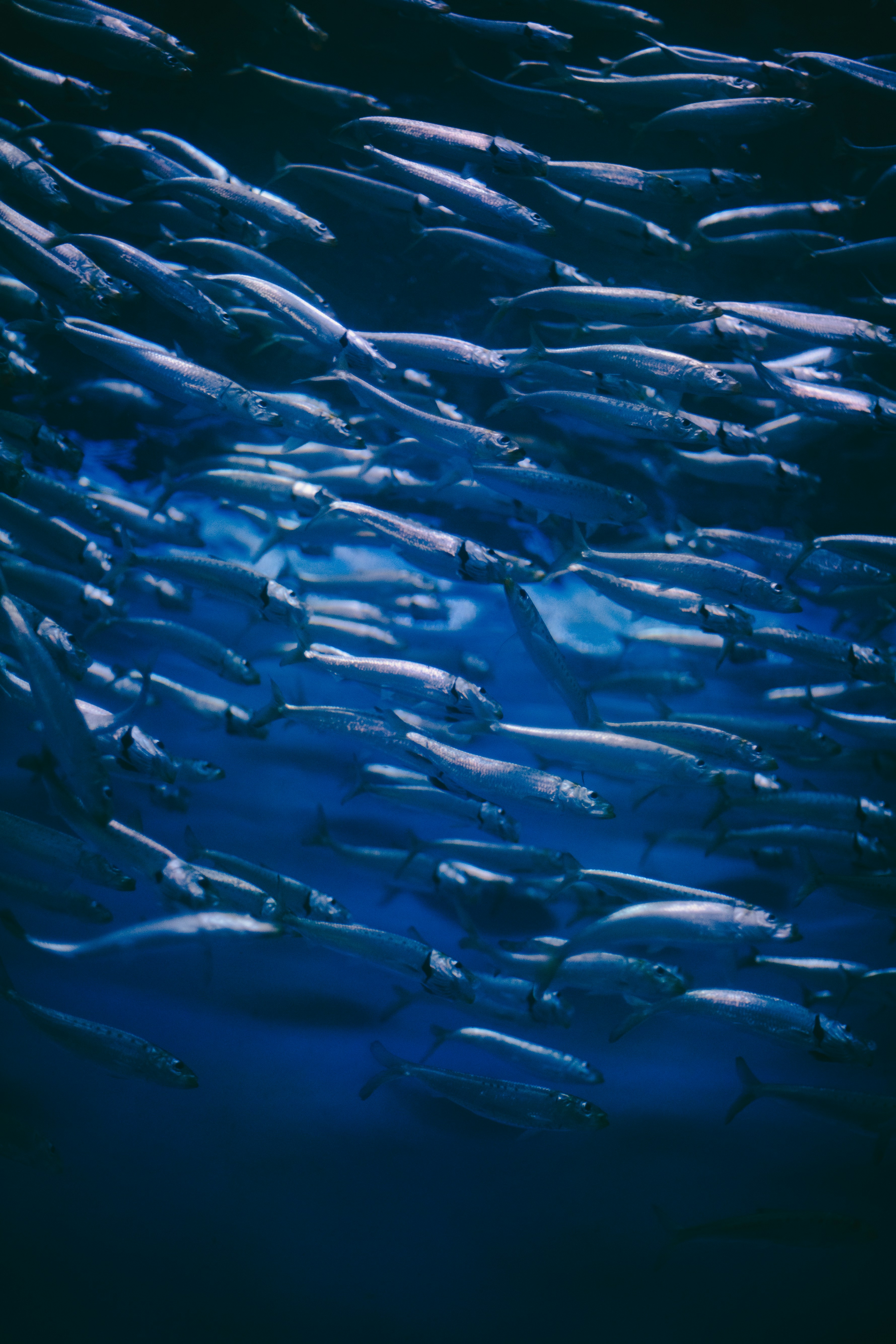 Photo by madeline_sd