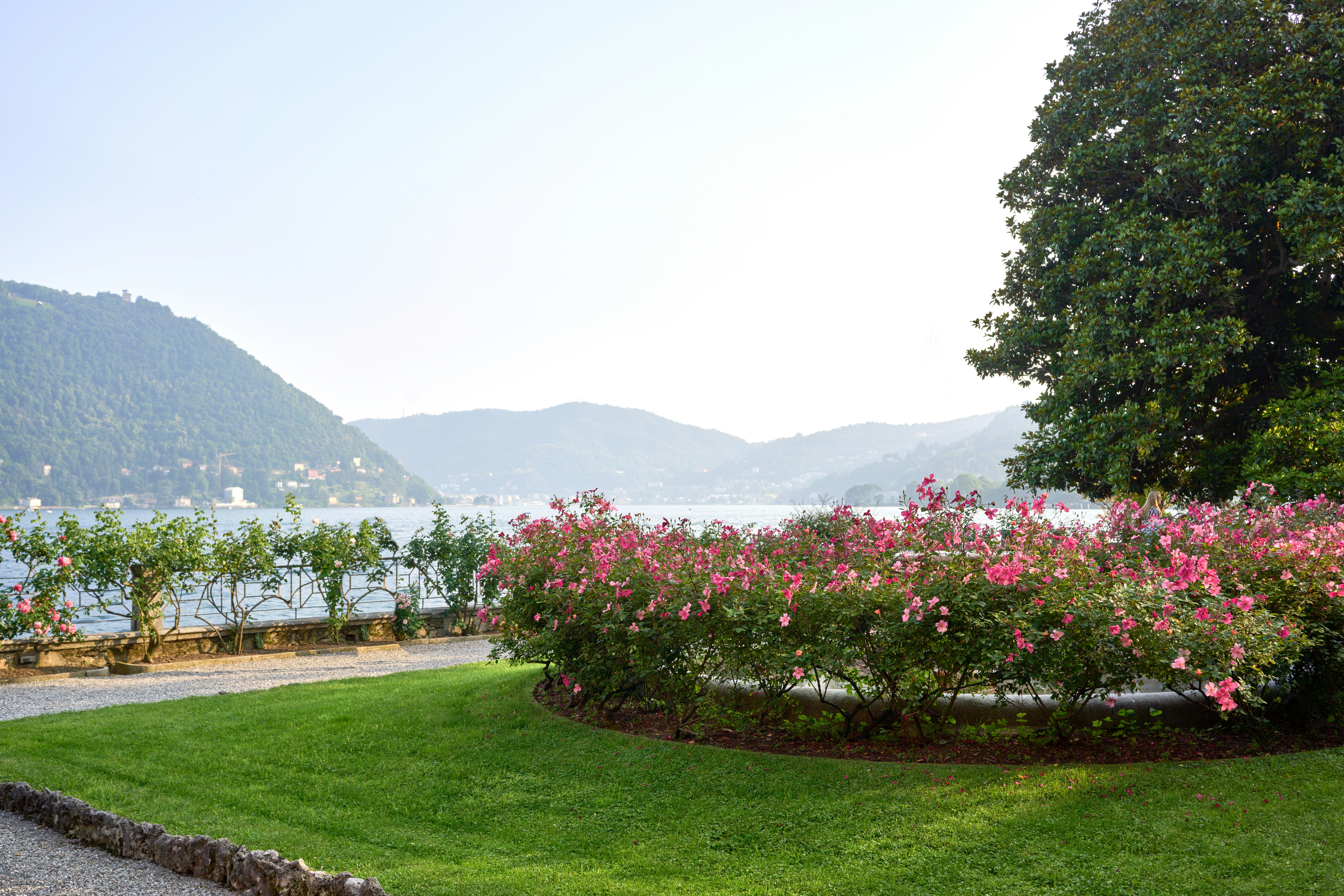 Lake view with roses and mountains in the distance.