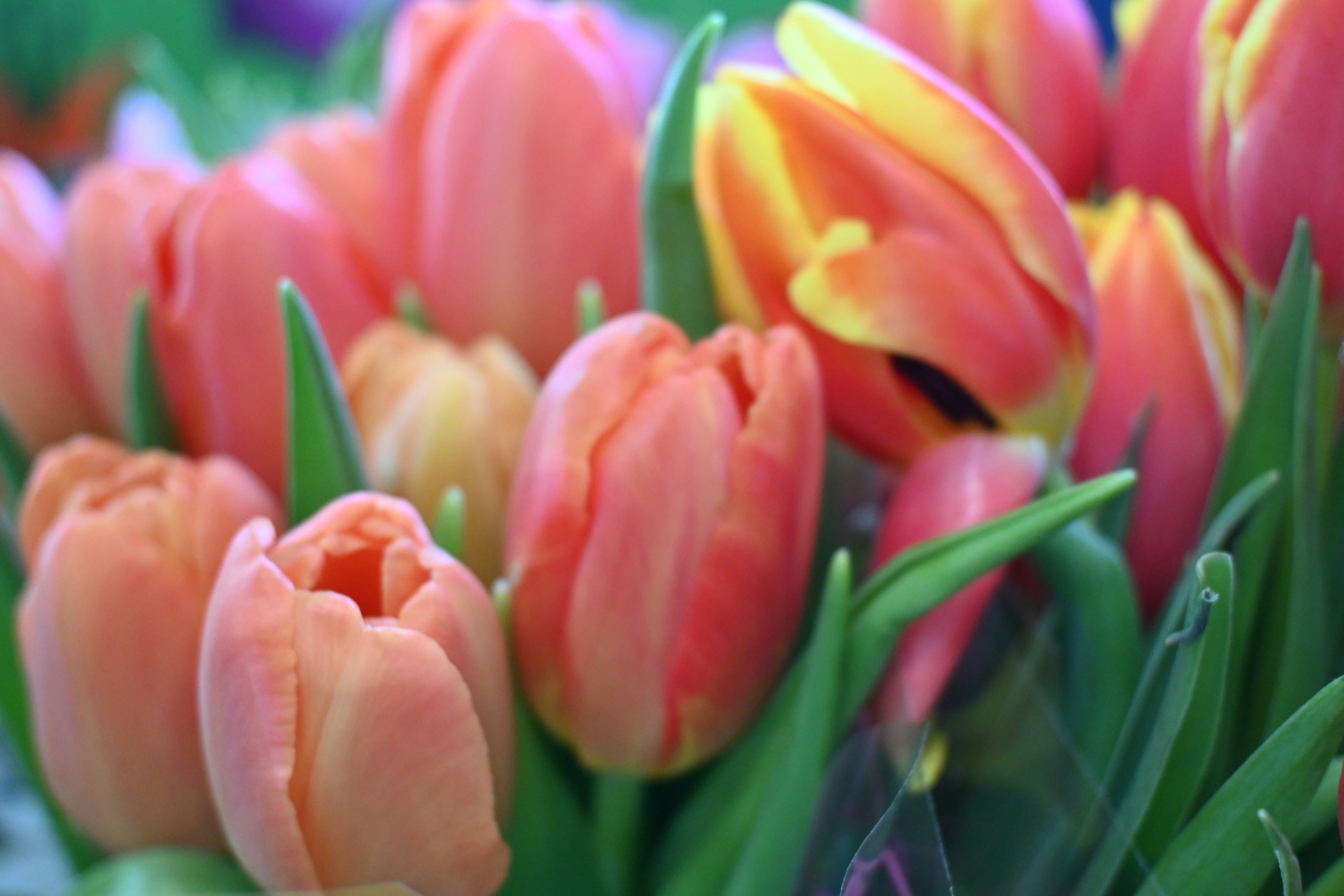 Photo by karolinabobek