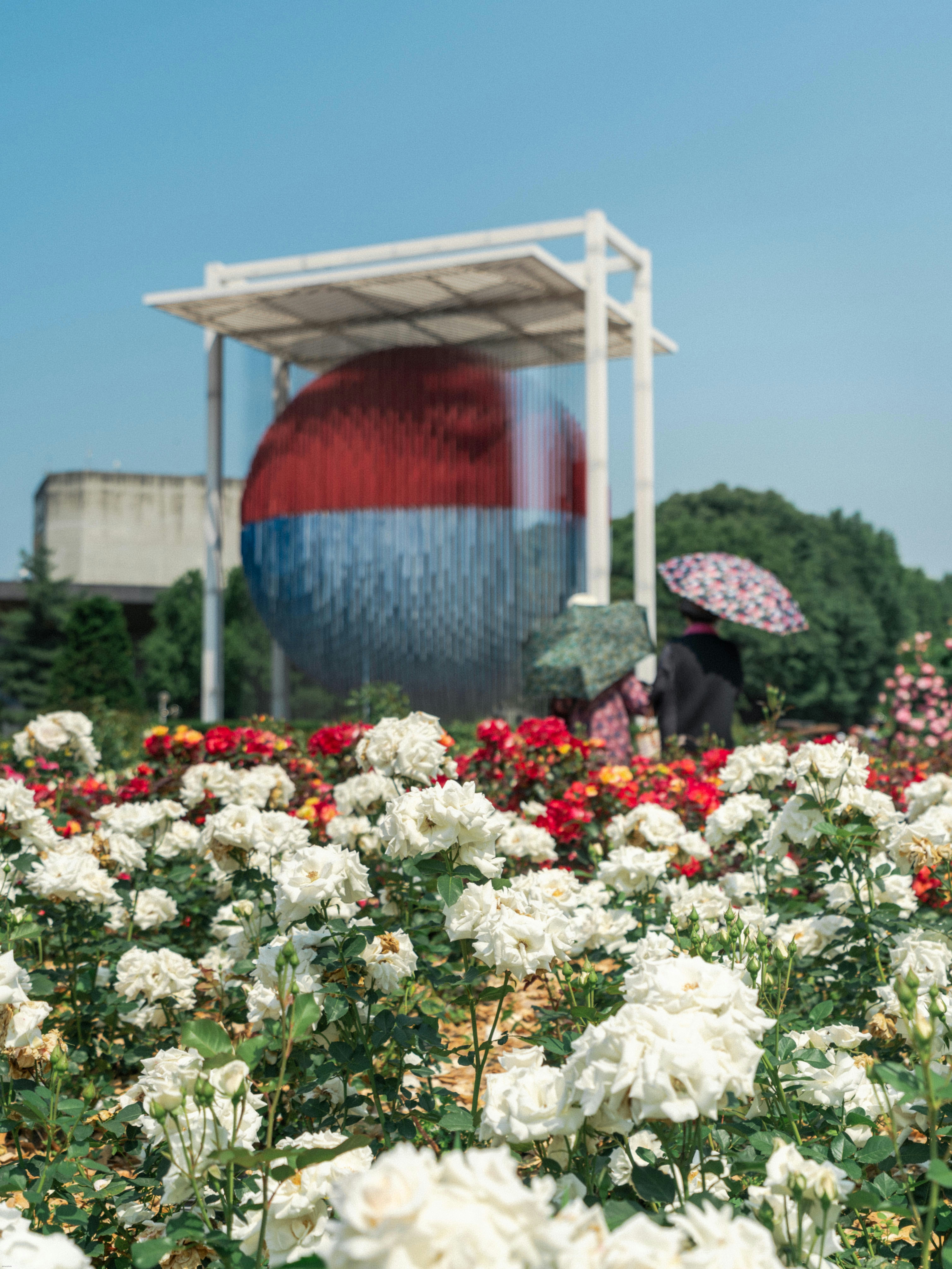 Beautiful roses bloom near a large public art sculpture.