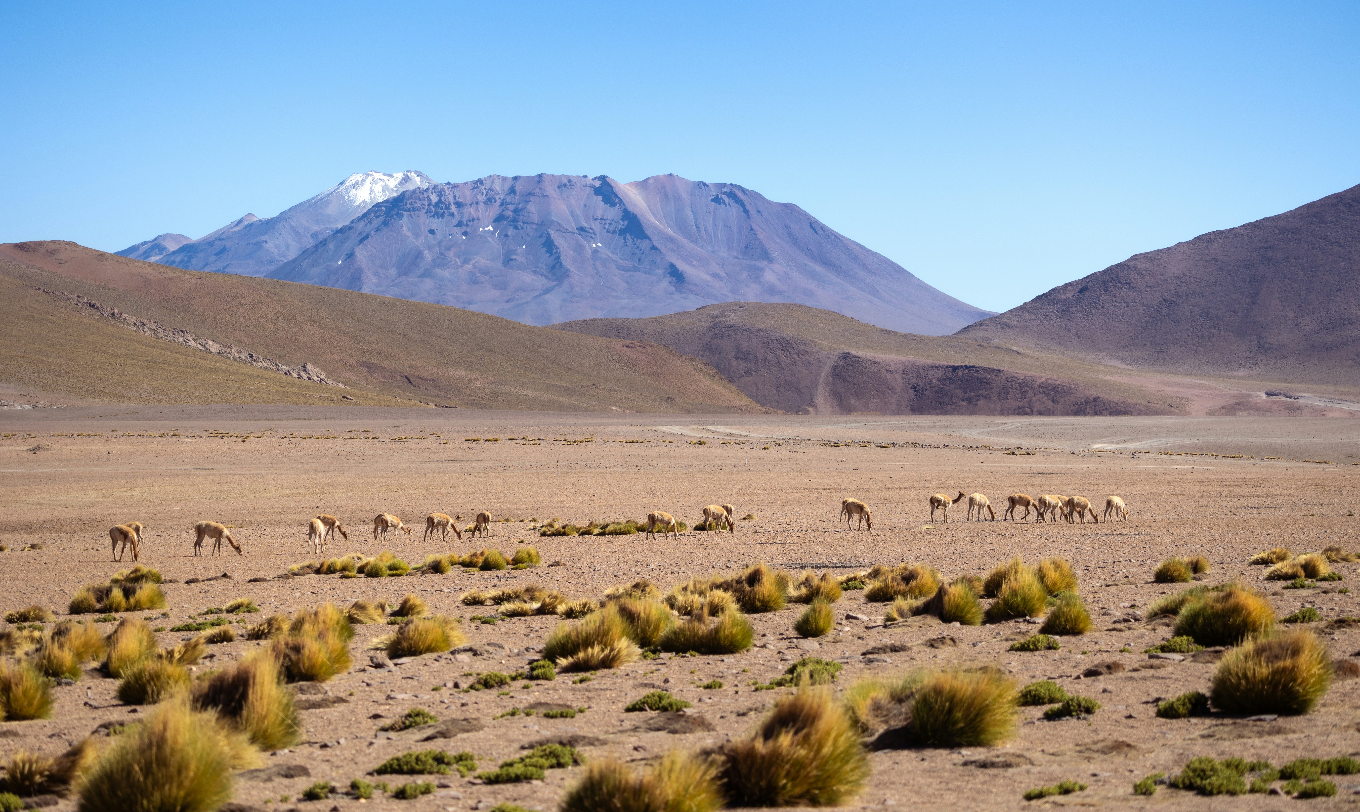 Photo by marekpiwnicki