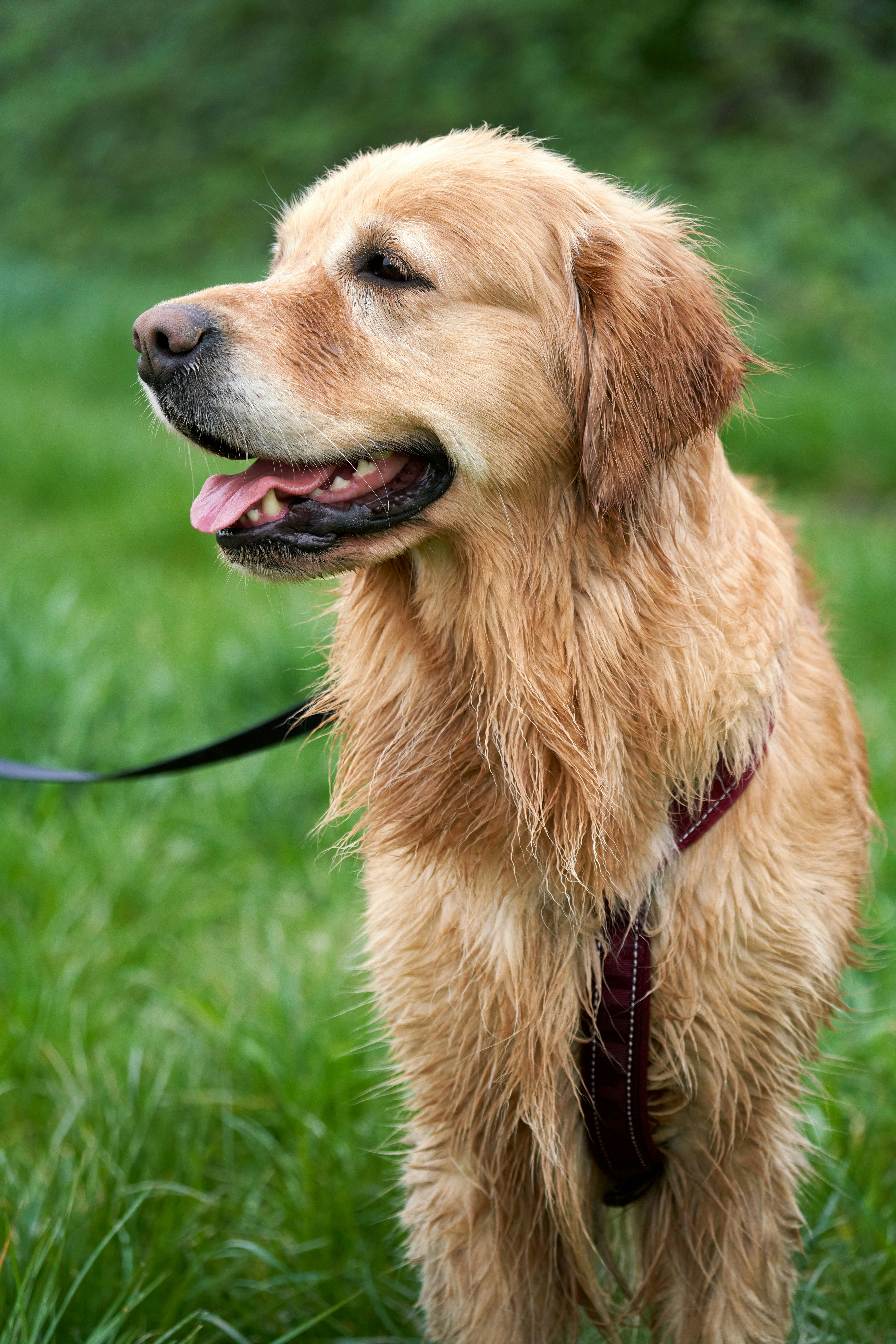 Photo by davotibarna