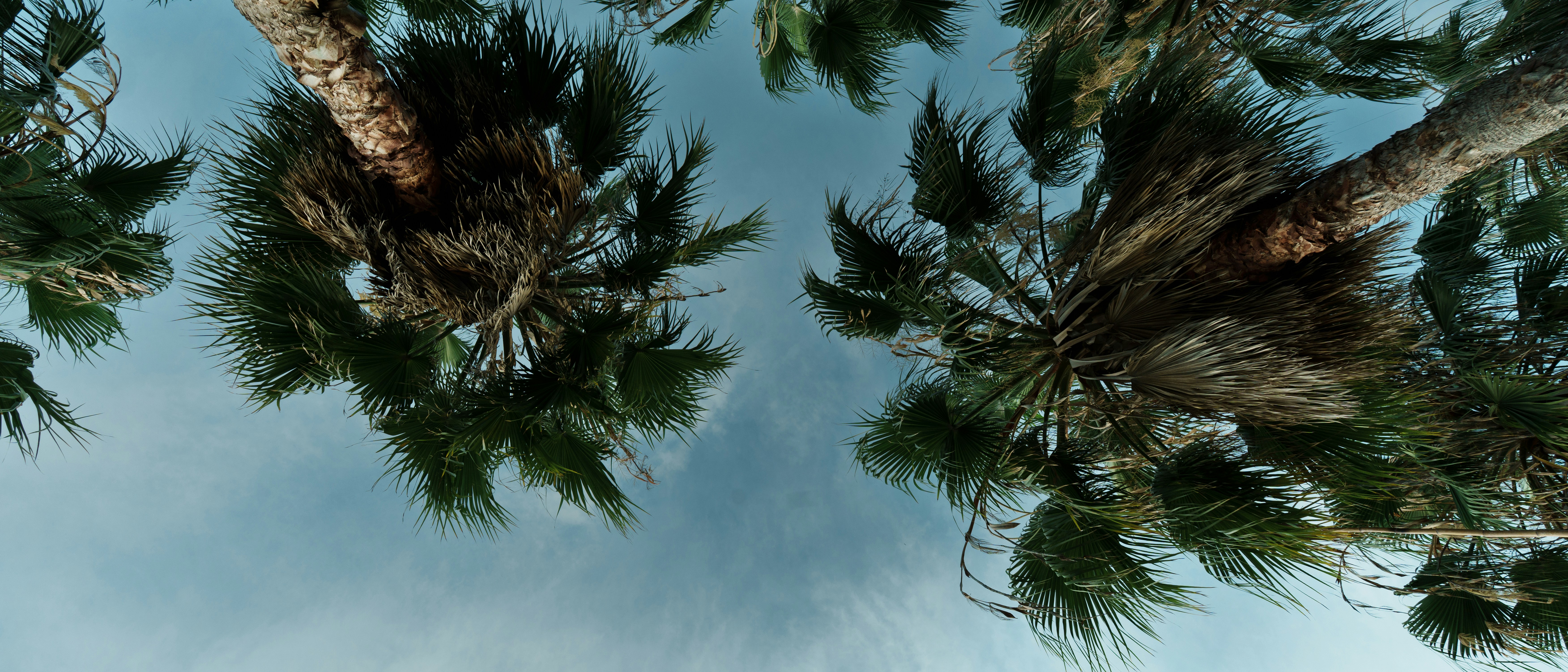 Photo by toxicsmoker