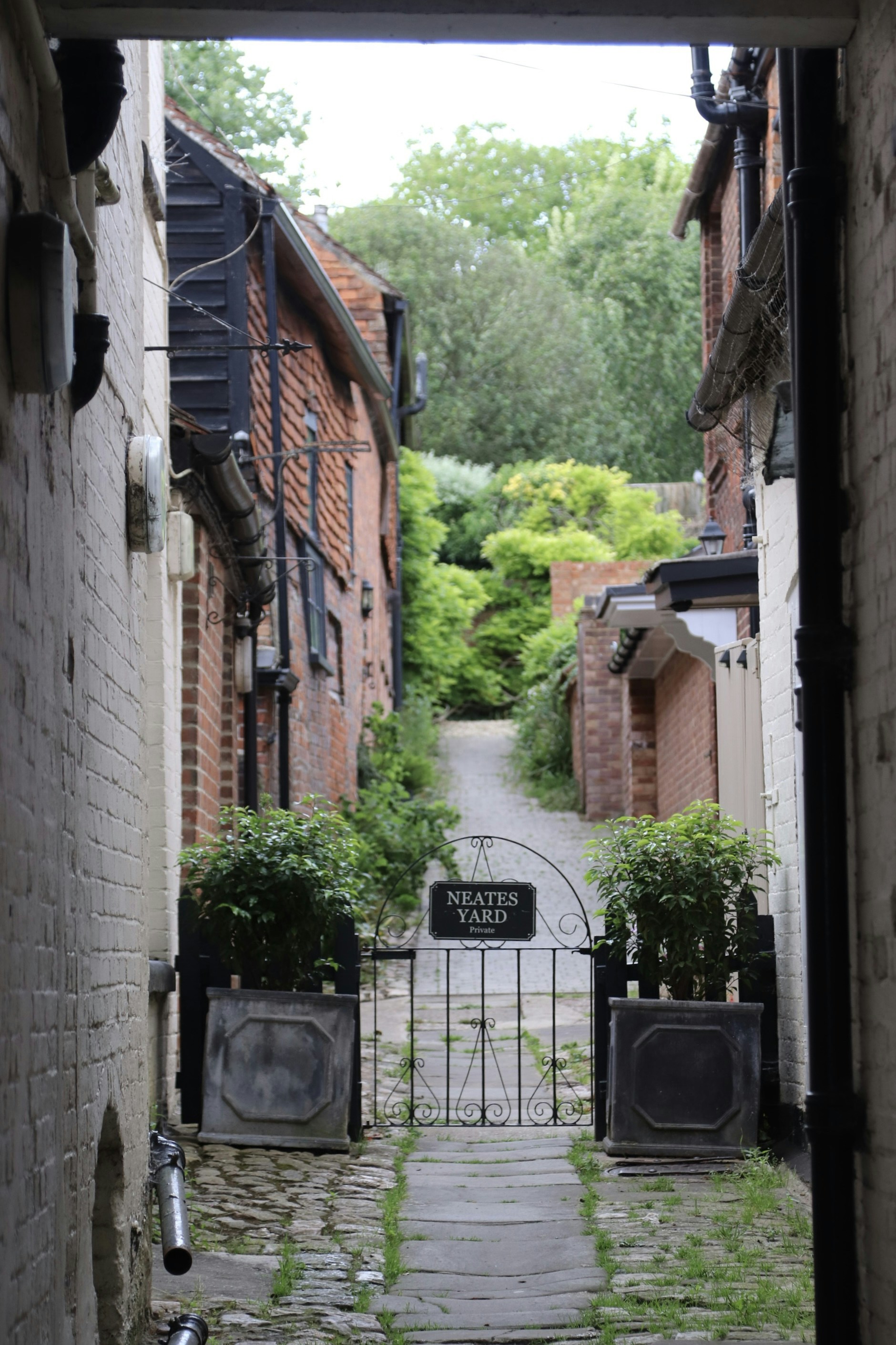 Photo by tanyabarrow