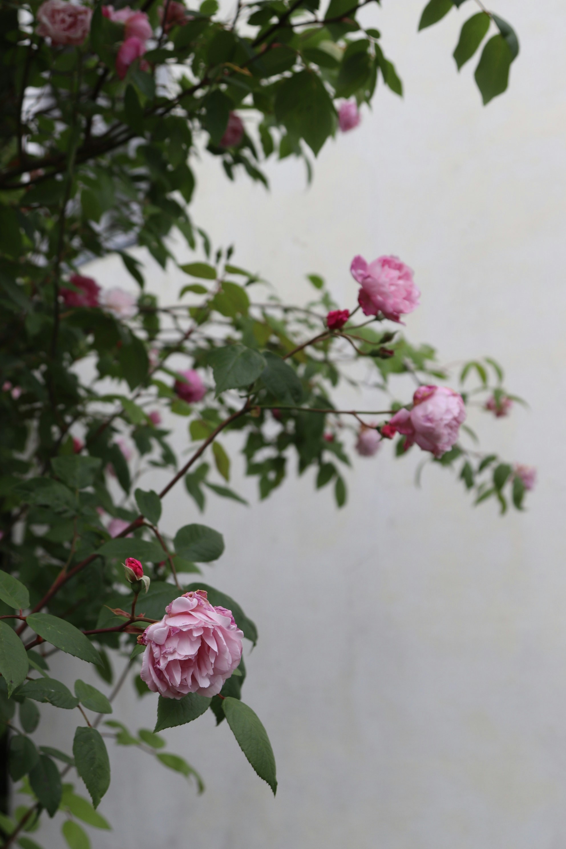 Photo by tanyabarrow