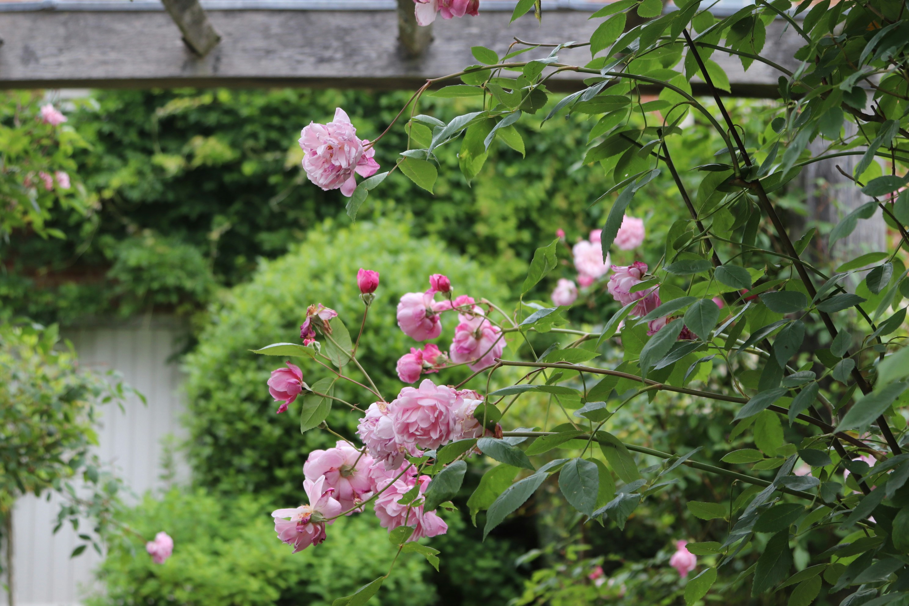 Photo by tanyabarrow