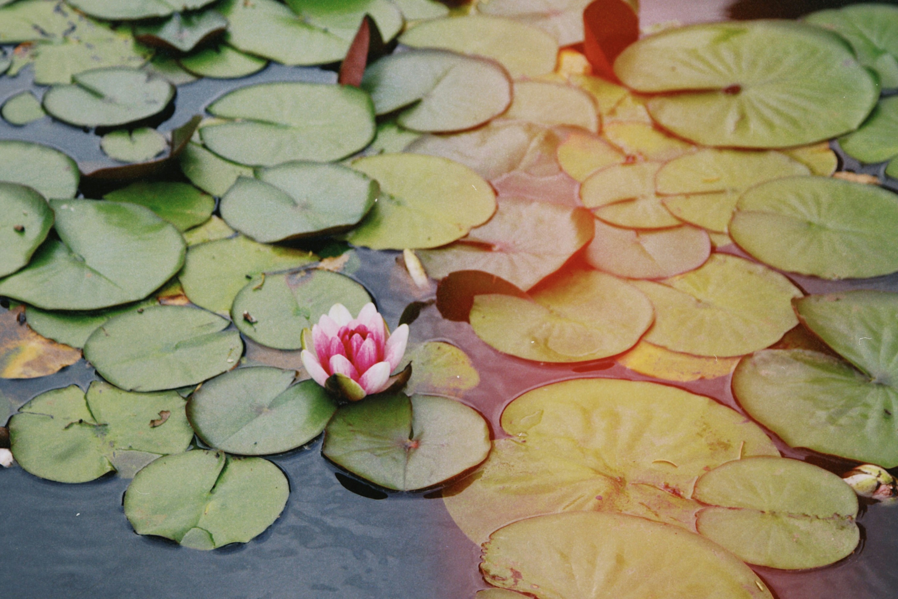 Photo by tanyabarrow