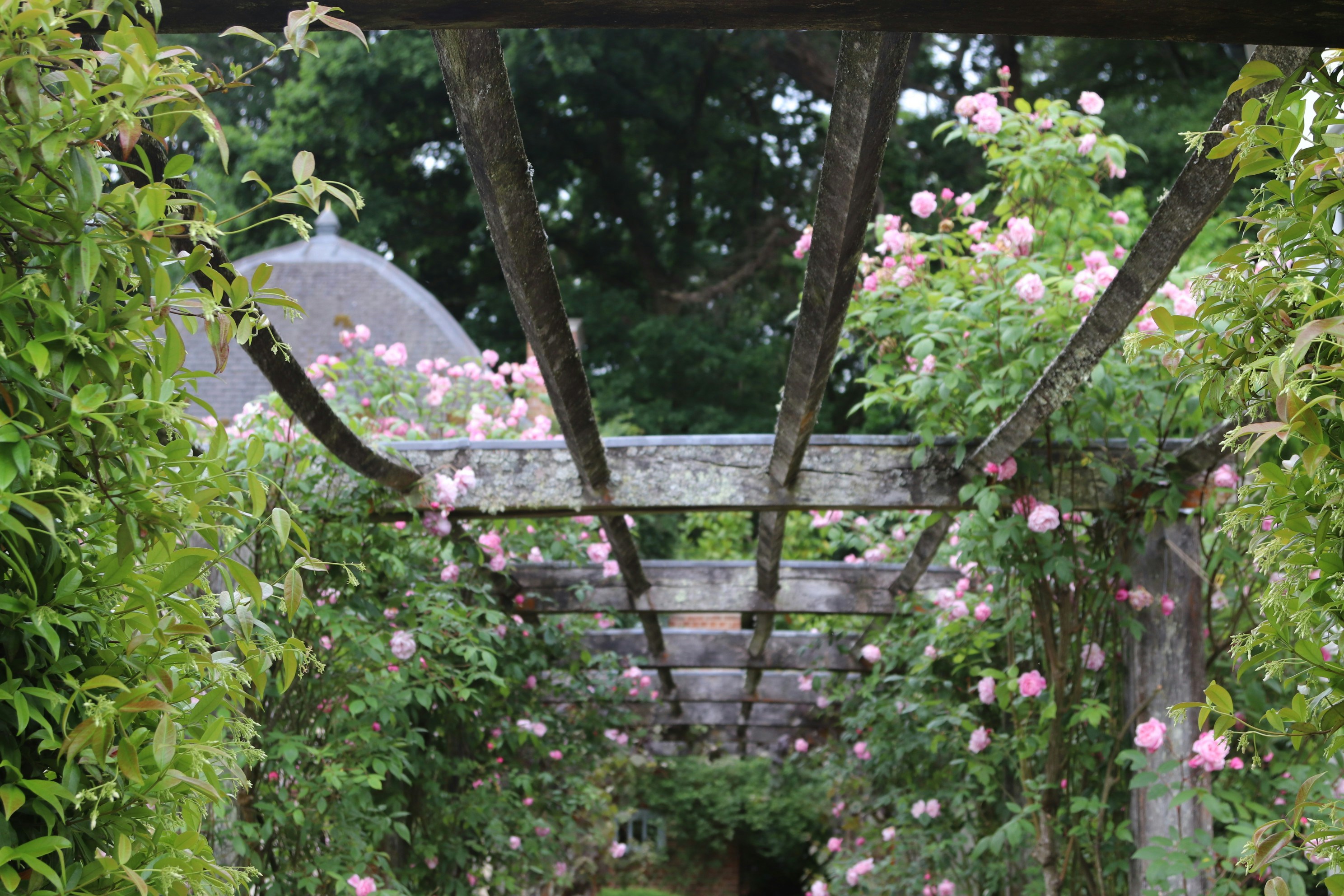 Photo by tanyabarrow