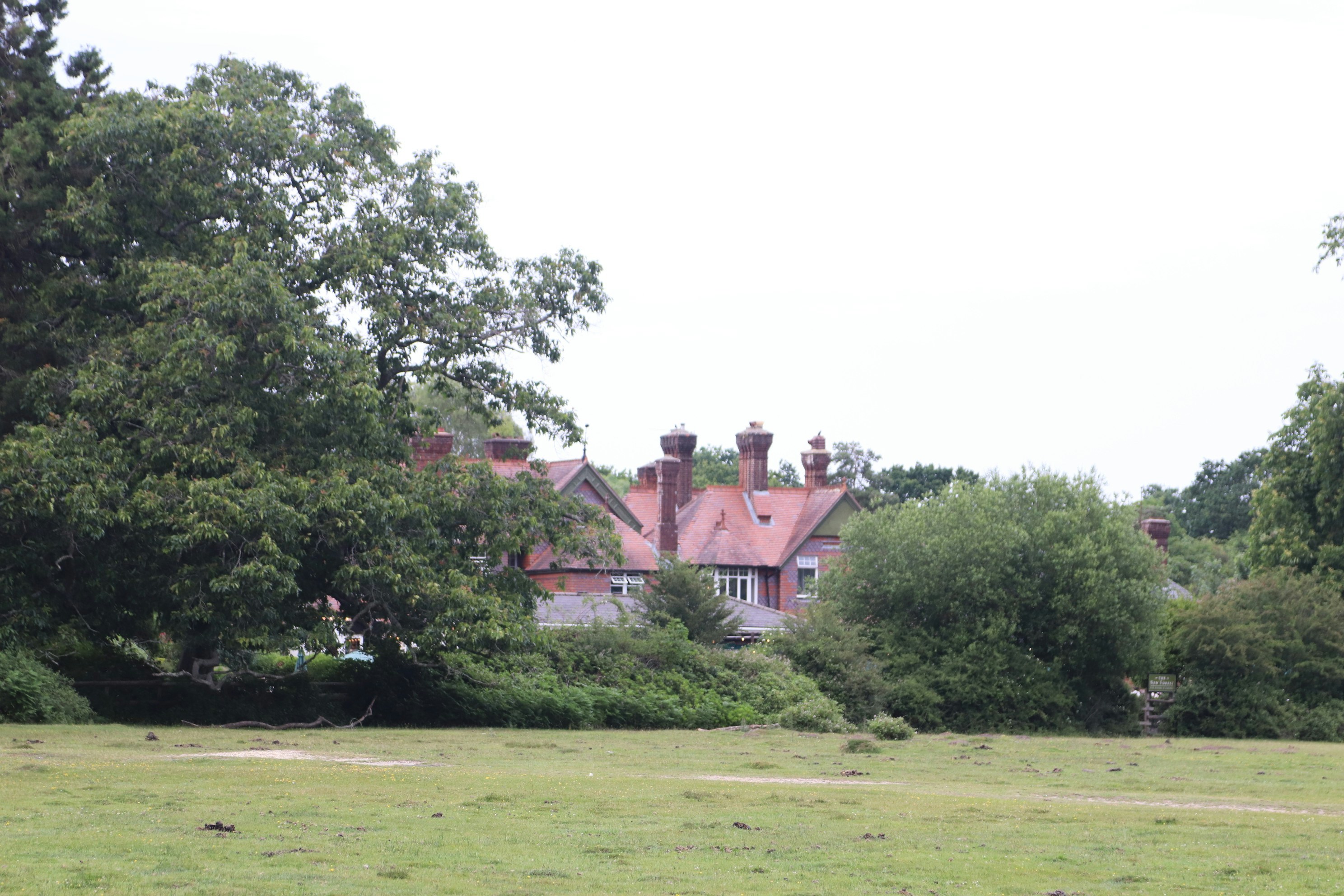 Photo by tanyabarrow