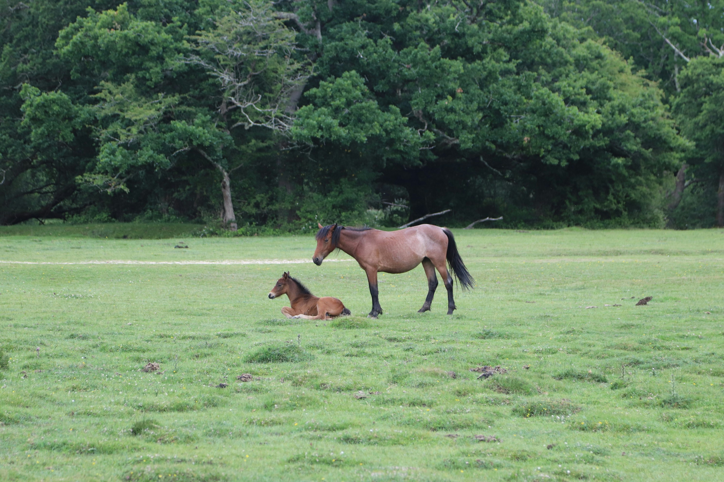 Photo by tanyabarrow