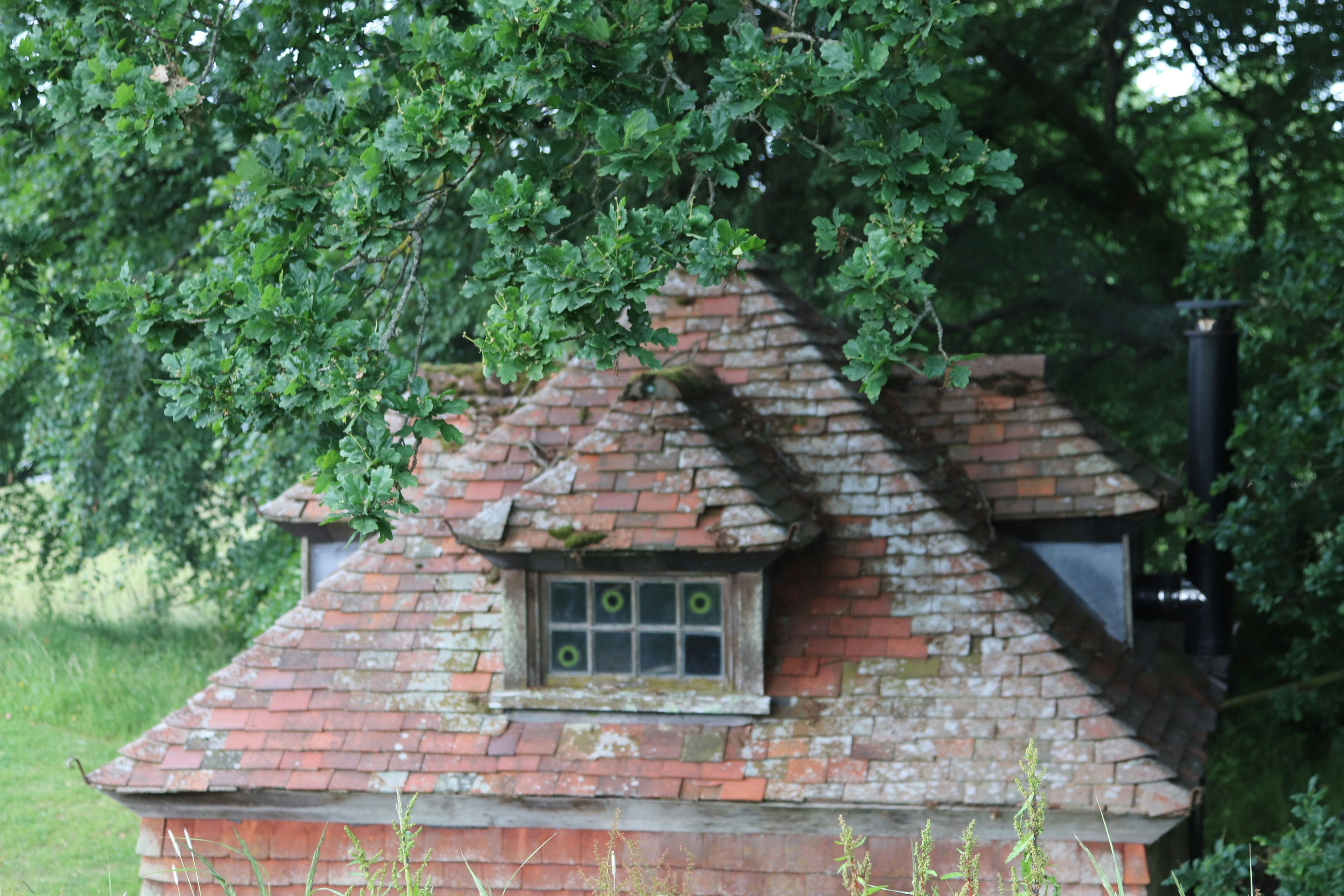 Photo by tanyabarrow