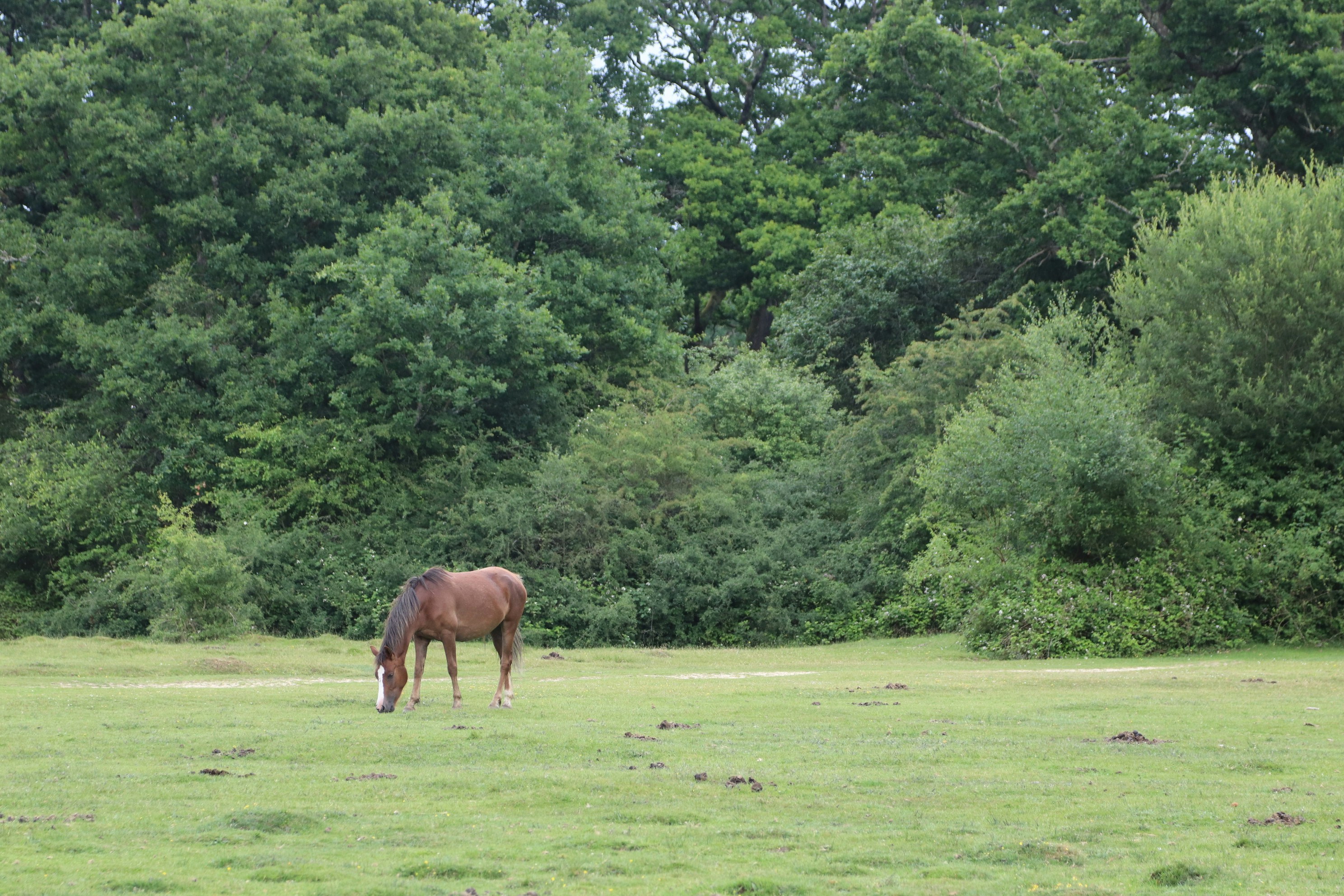 Photo by tanyabarrow