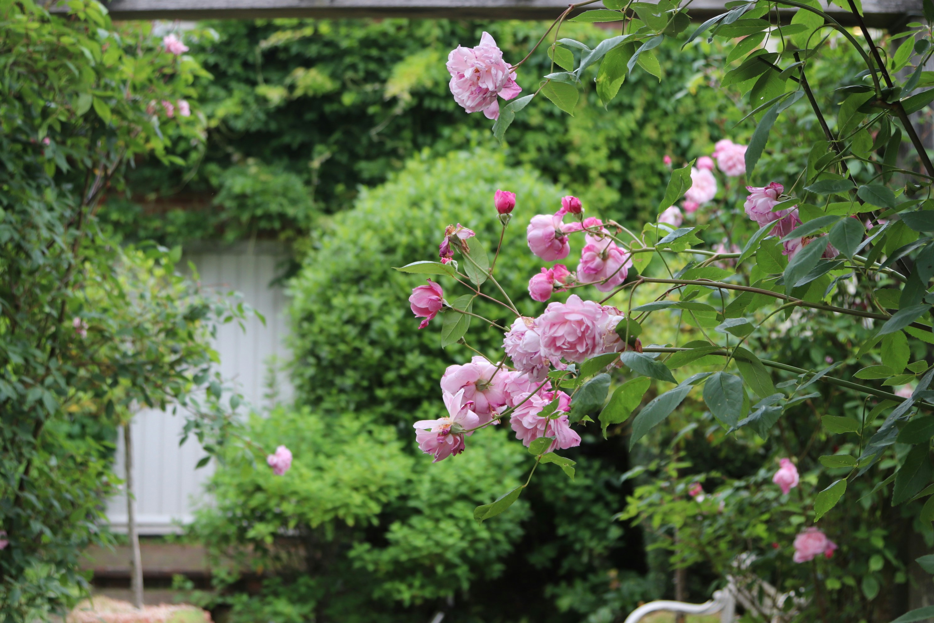 Photo by tanyabarrow