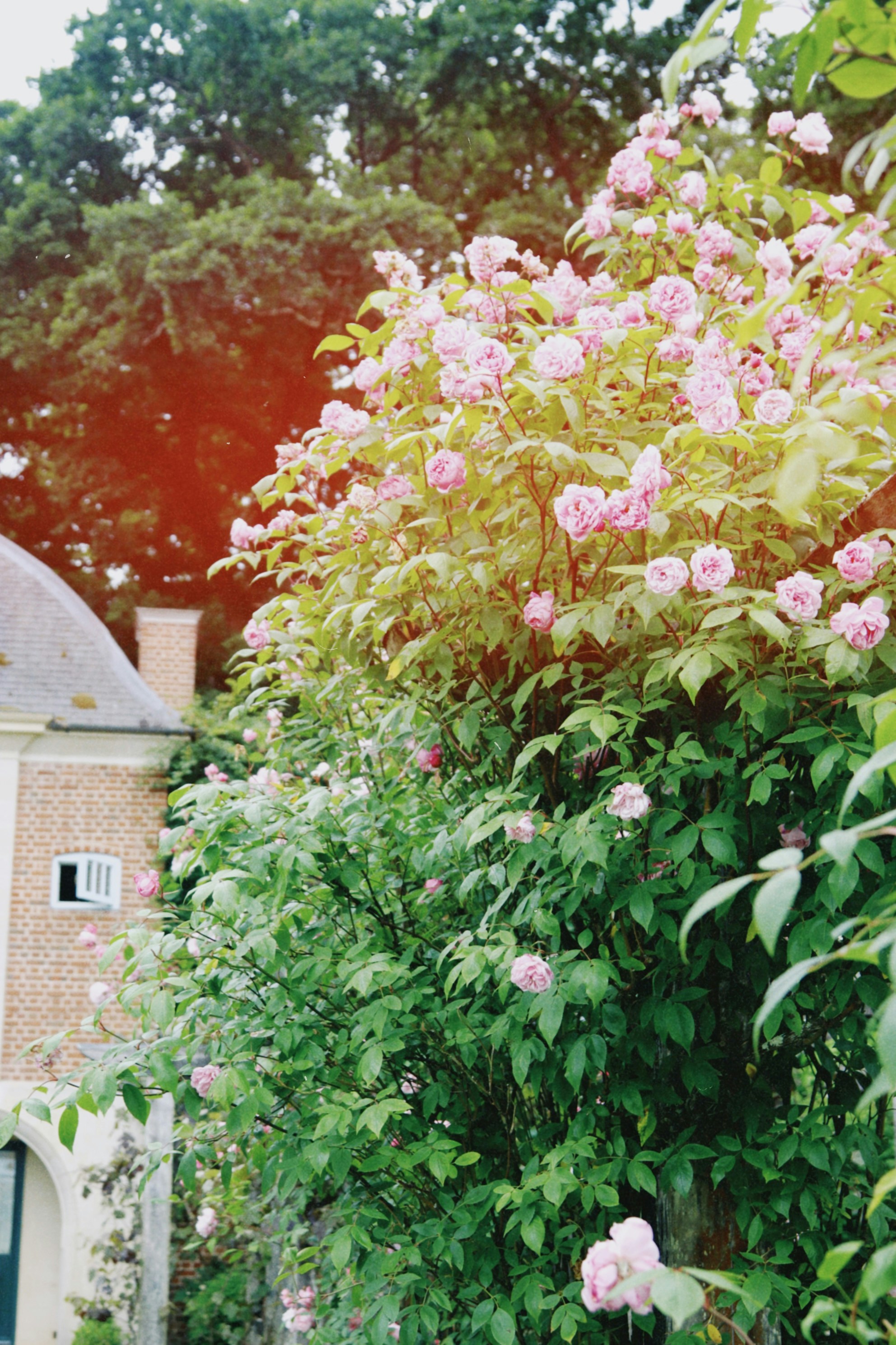 Photo by tanyabarrow