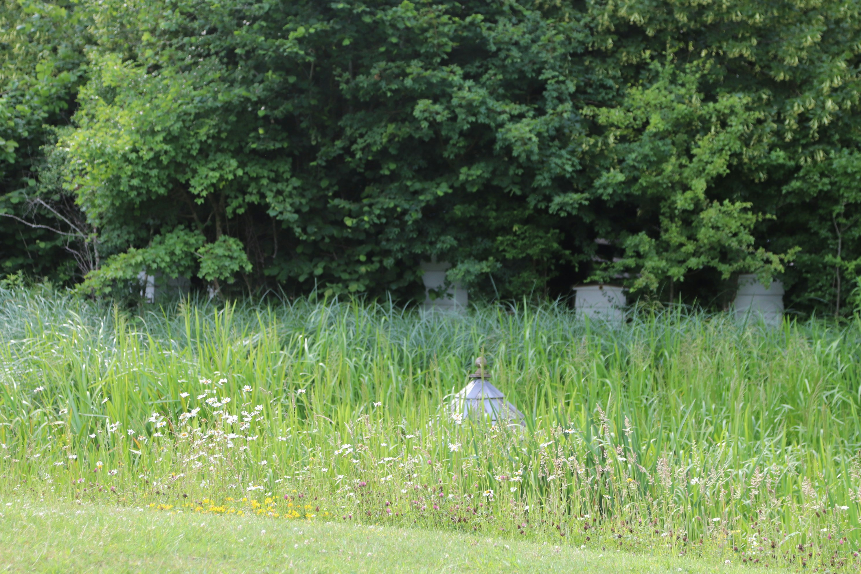 Photo by tanyabarrow