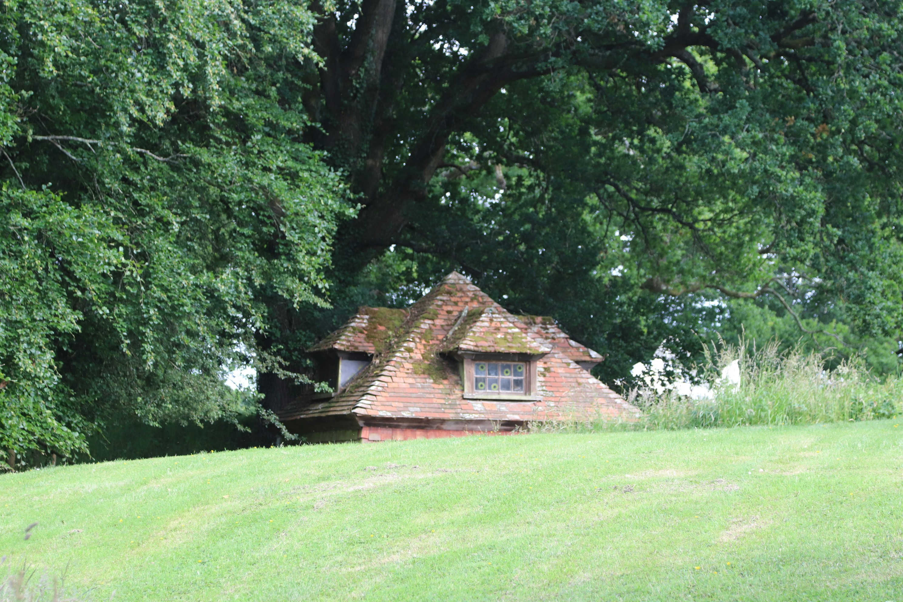 Photo by tanyabarrow