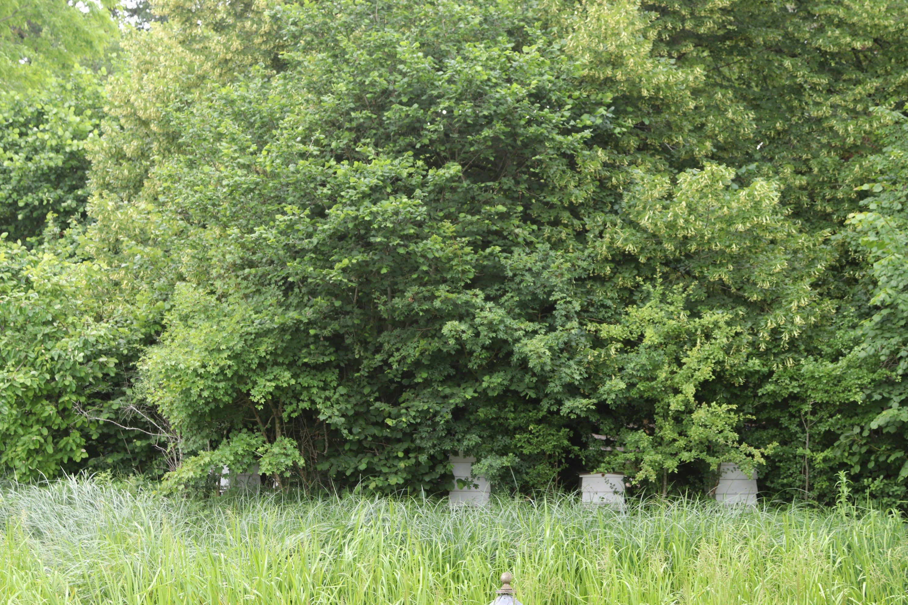 Photo by tanyabarrow