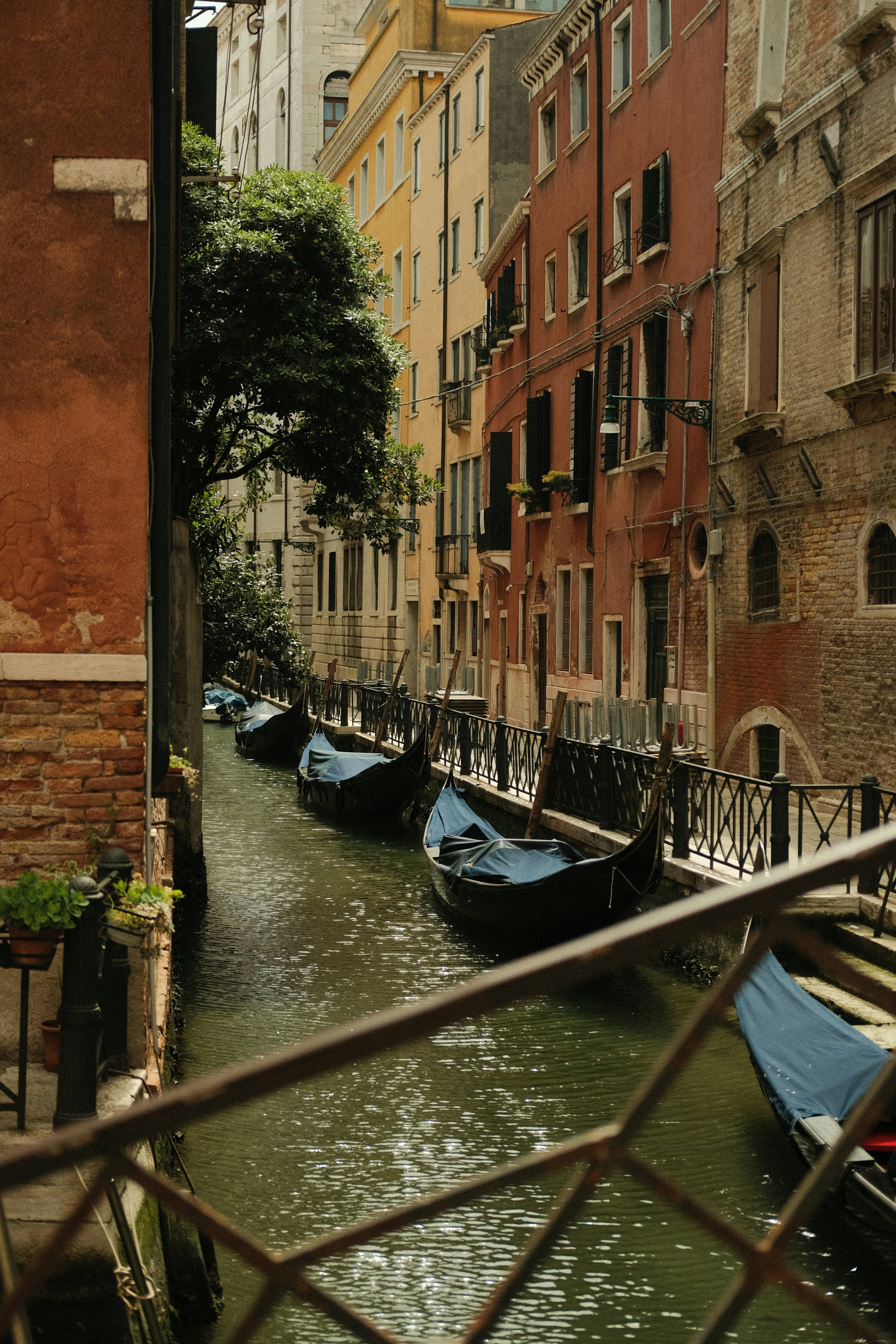 Photo by sebastianhattemer