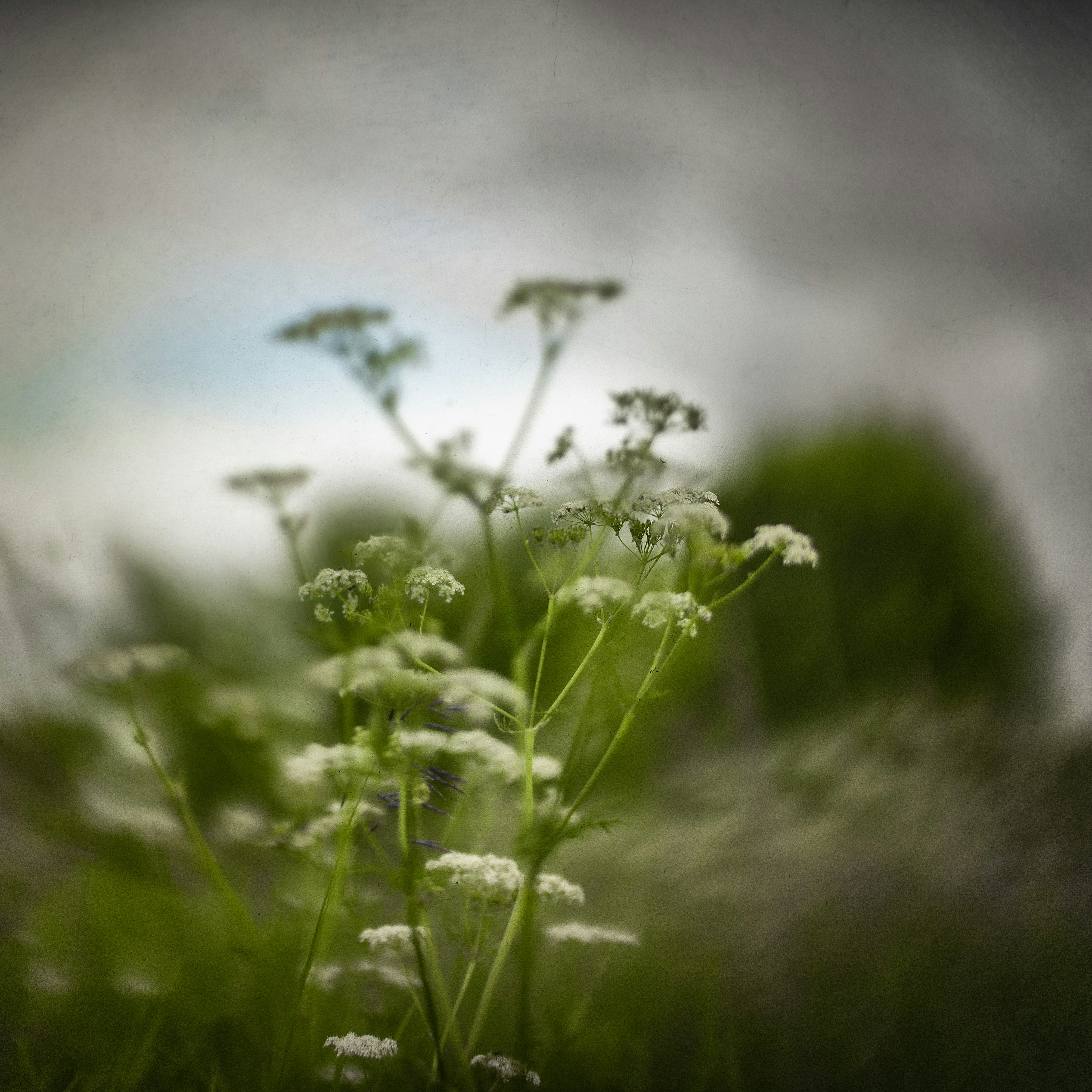 Photo by andrilliardbond