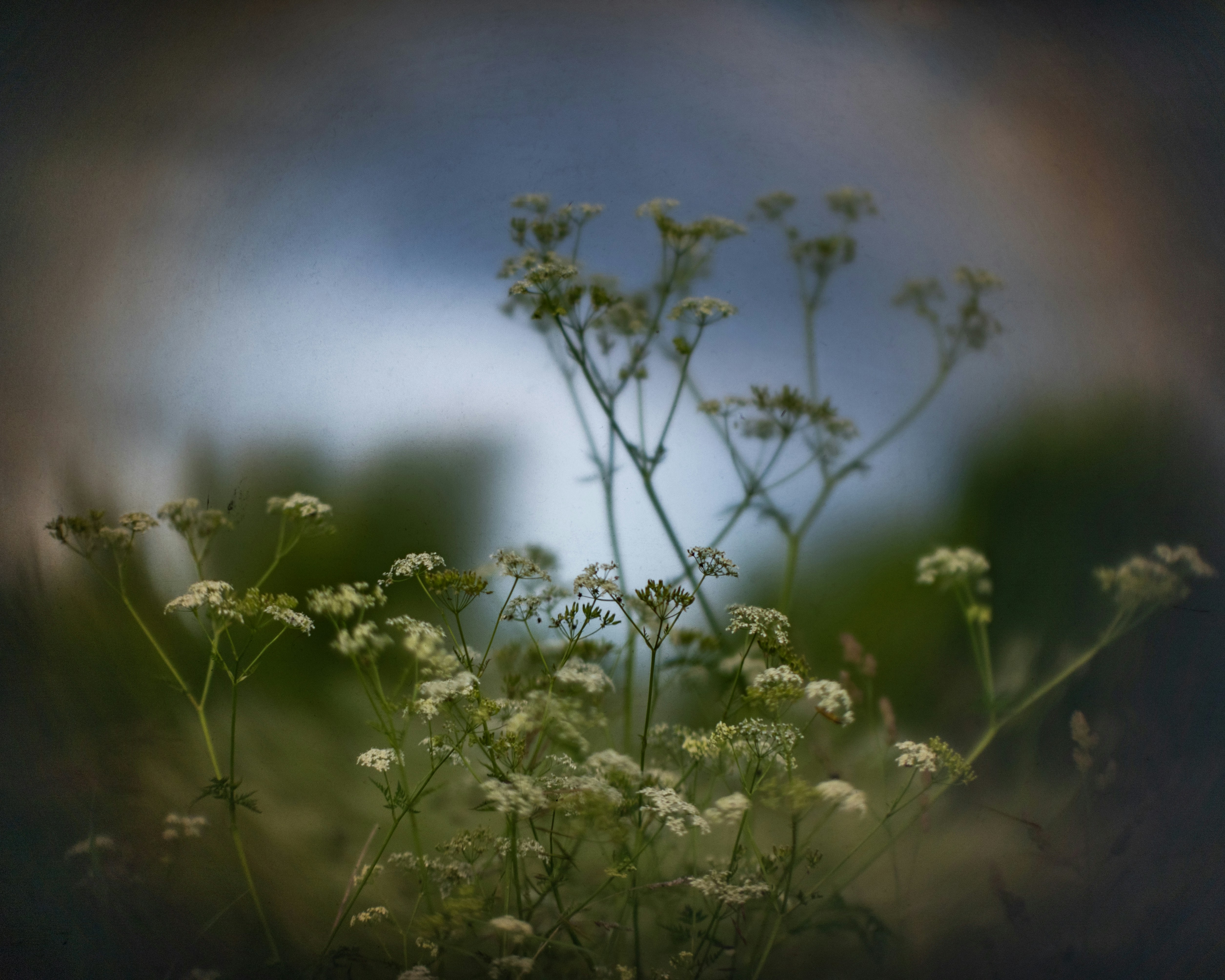 Photo by andrilliardbond