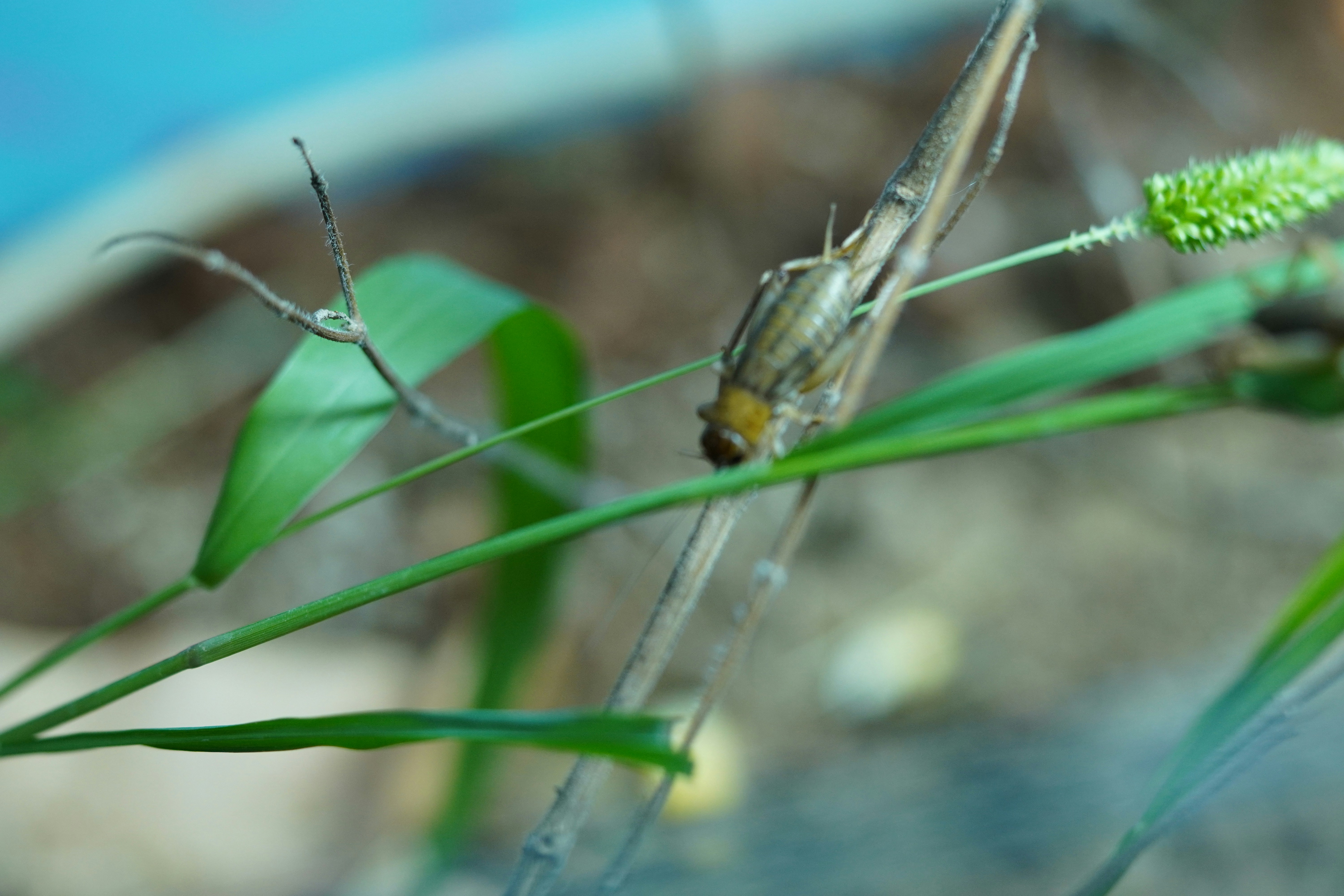 Photo by deepexplorer