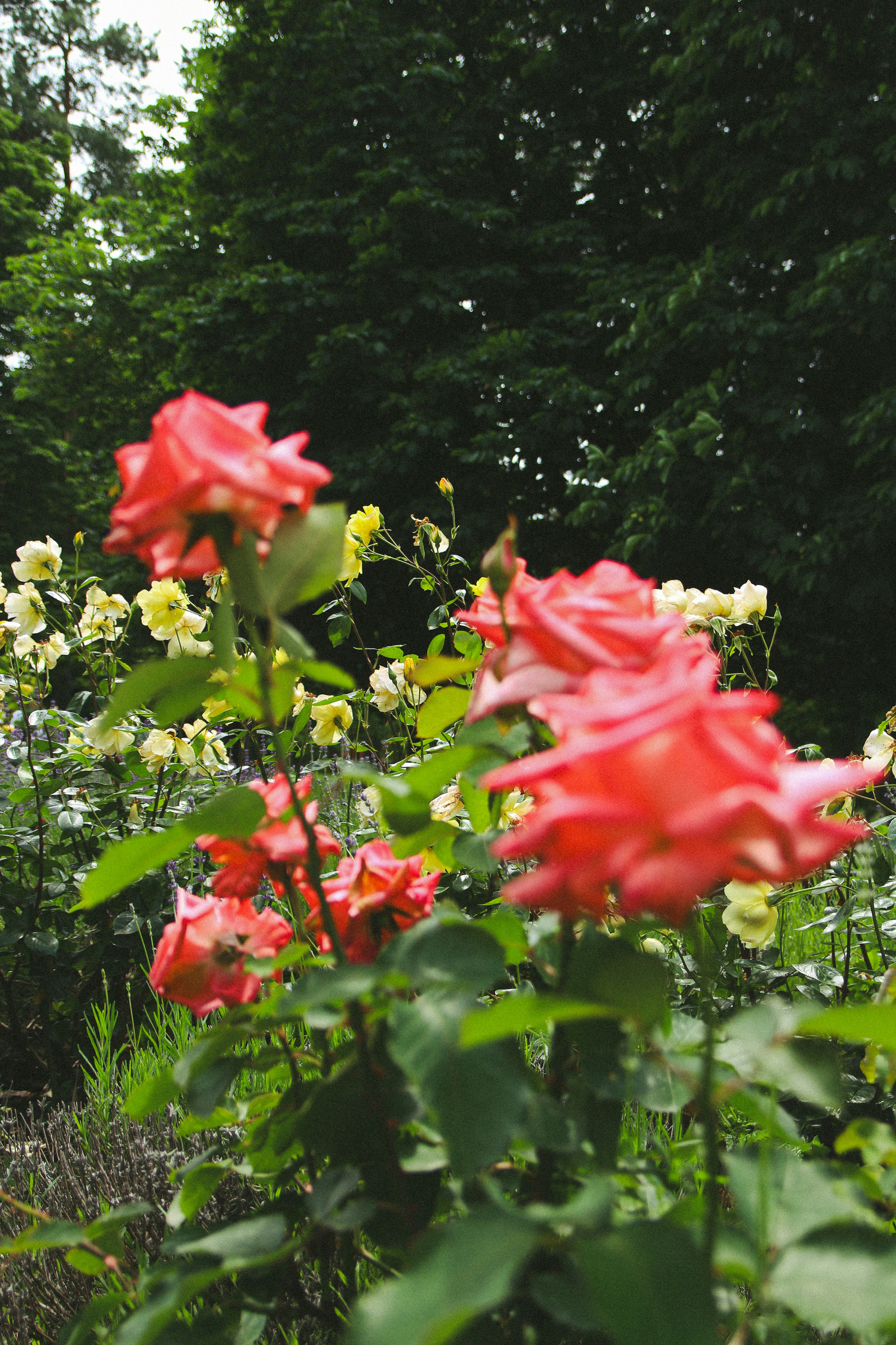 Photo by suleymanovae